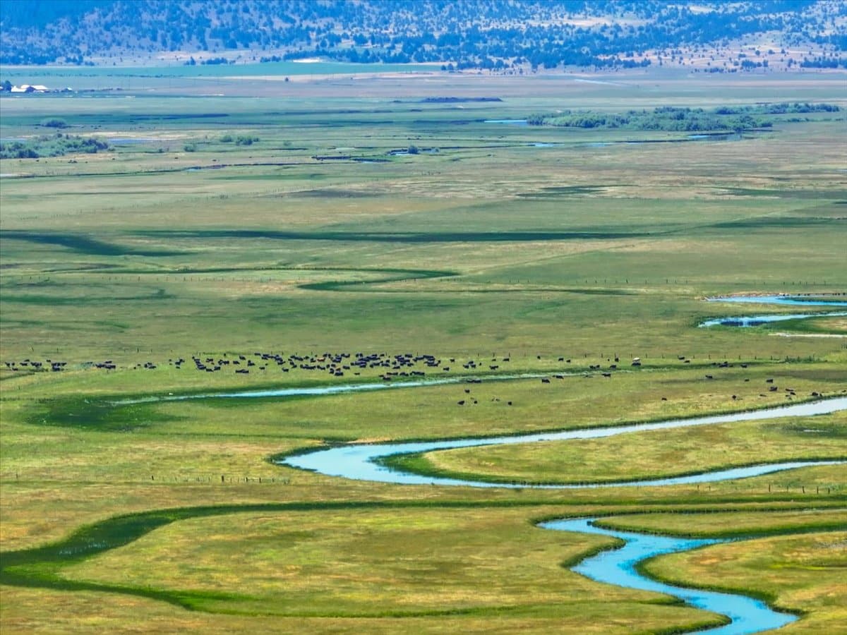 Pit River Cattle Ranch