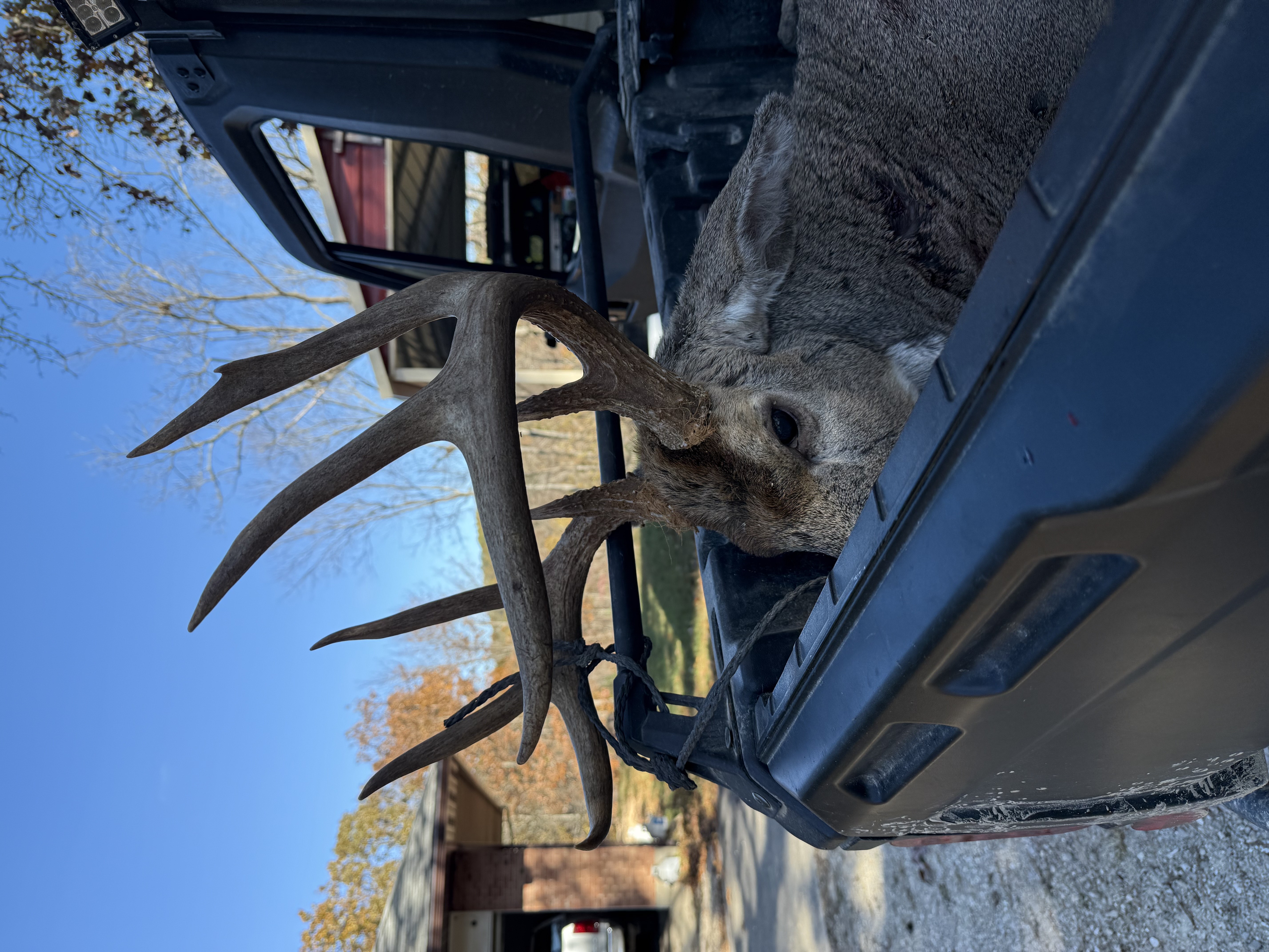 Little Gladden Creek Hunter