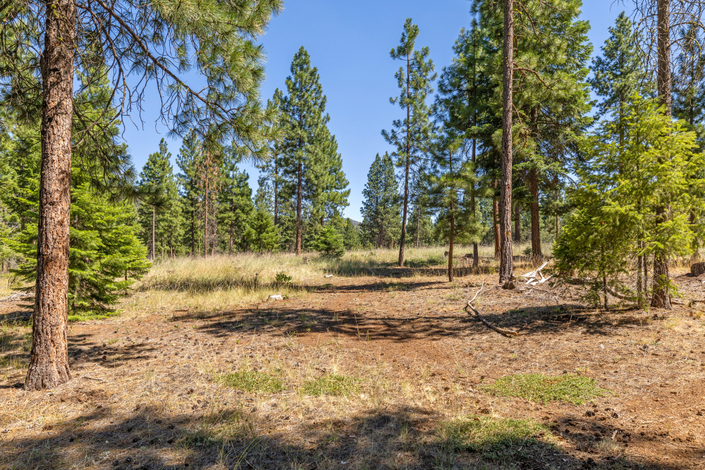 Listing Image 52
