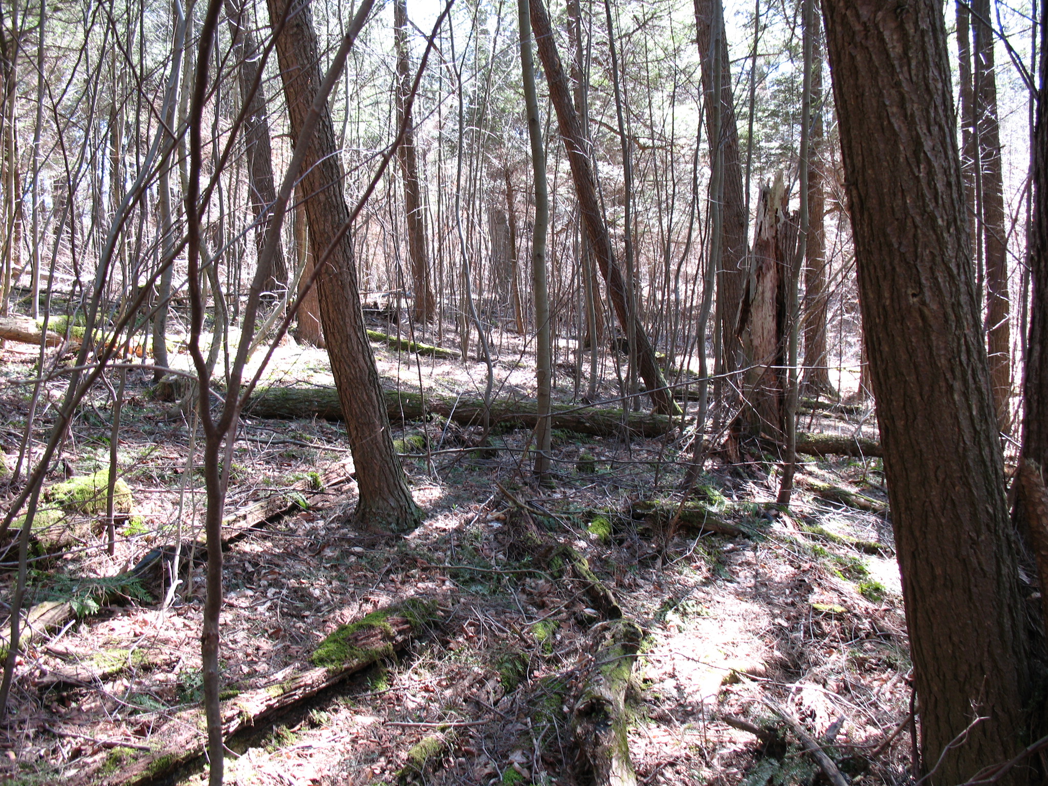 Listing Image 27