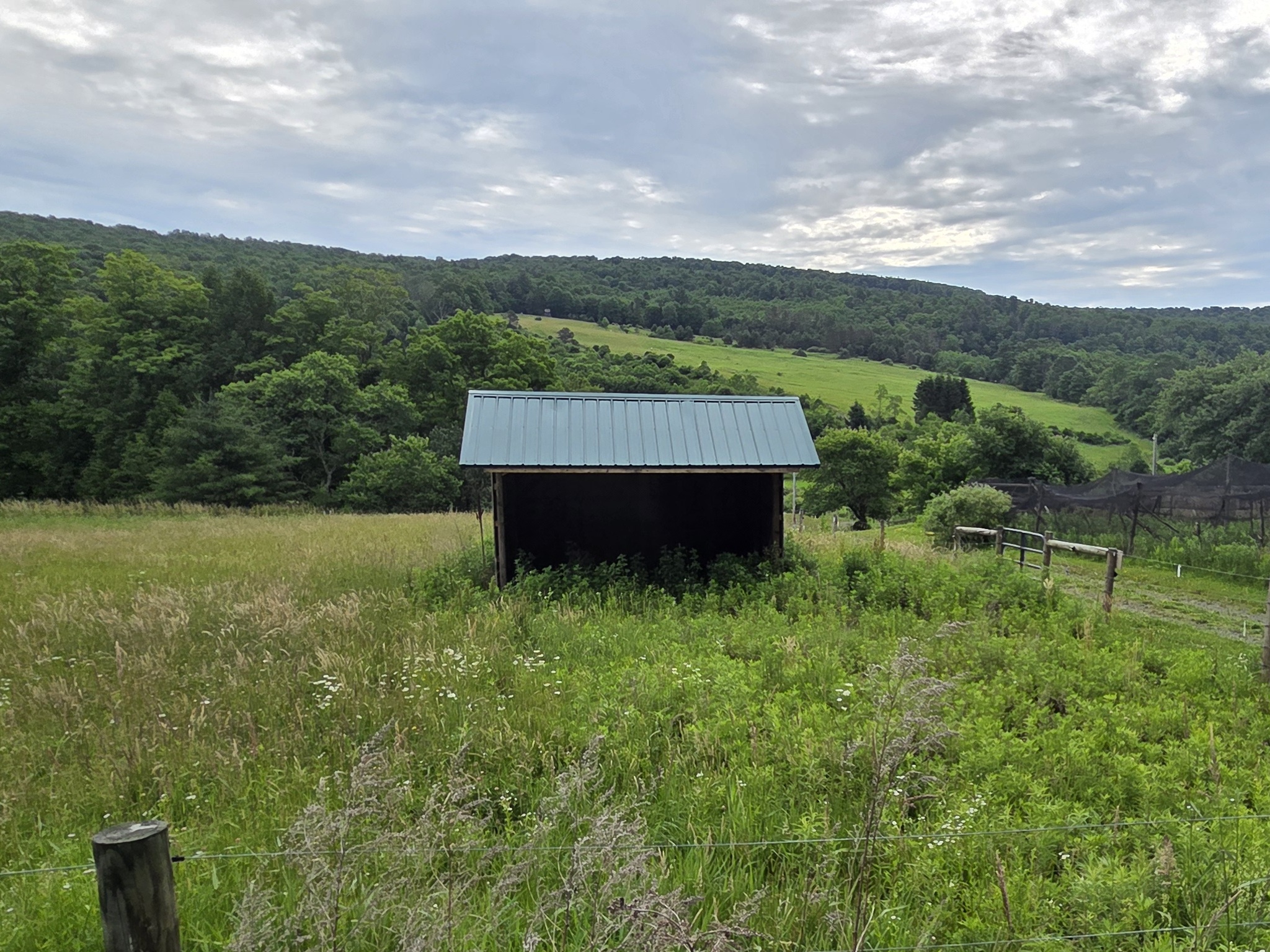 Listing Image 31