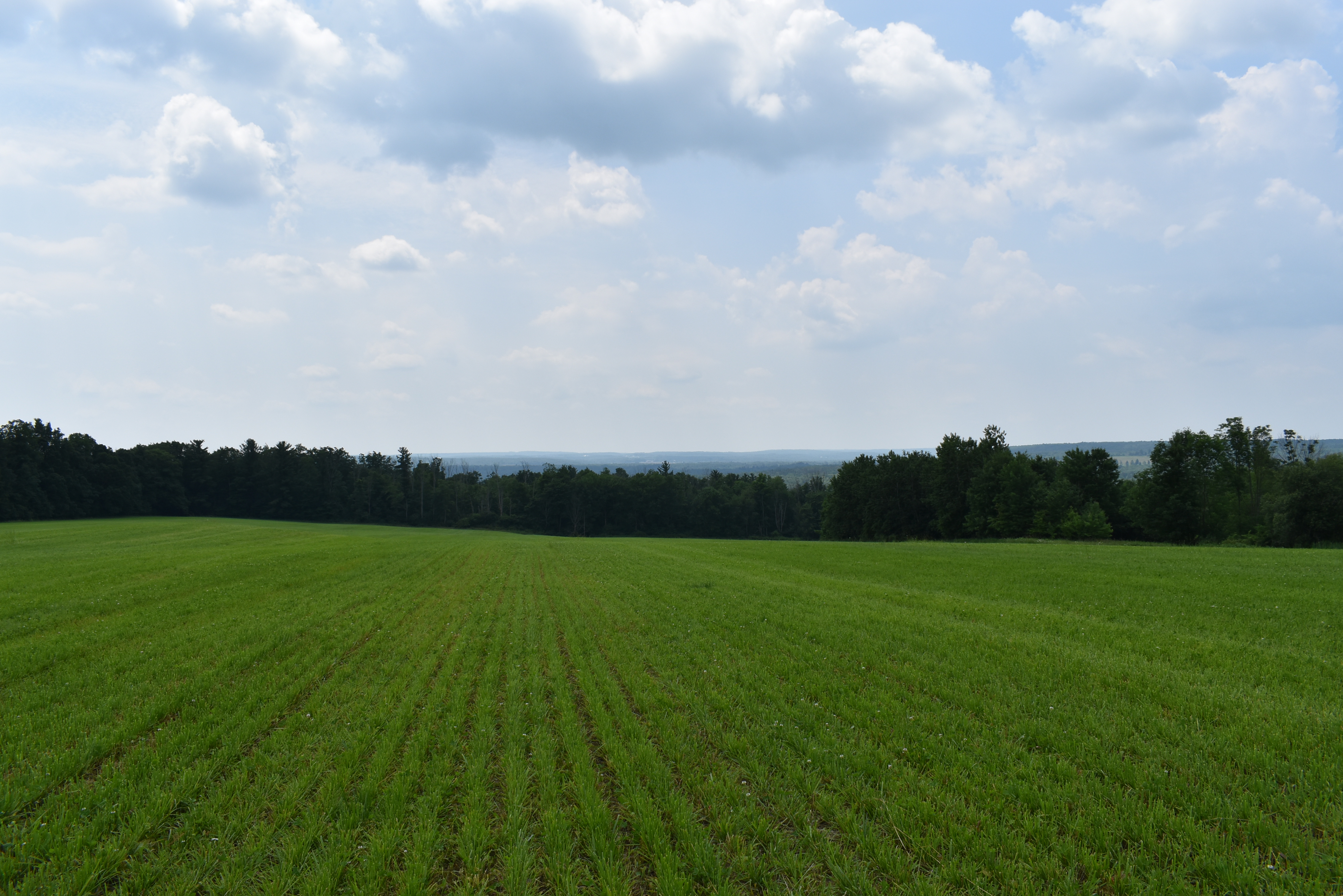 Listing Image 29