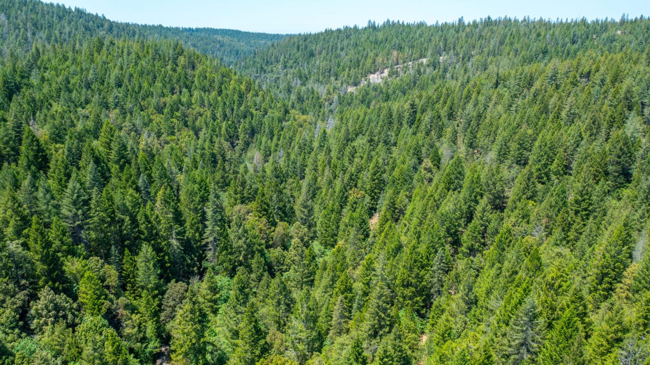 Otter Creek Cabin
