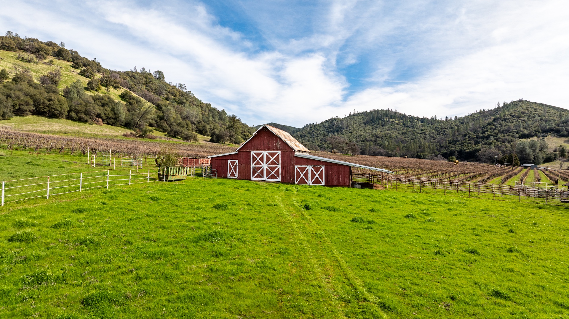 Chatom Vineyards