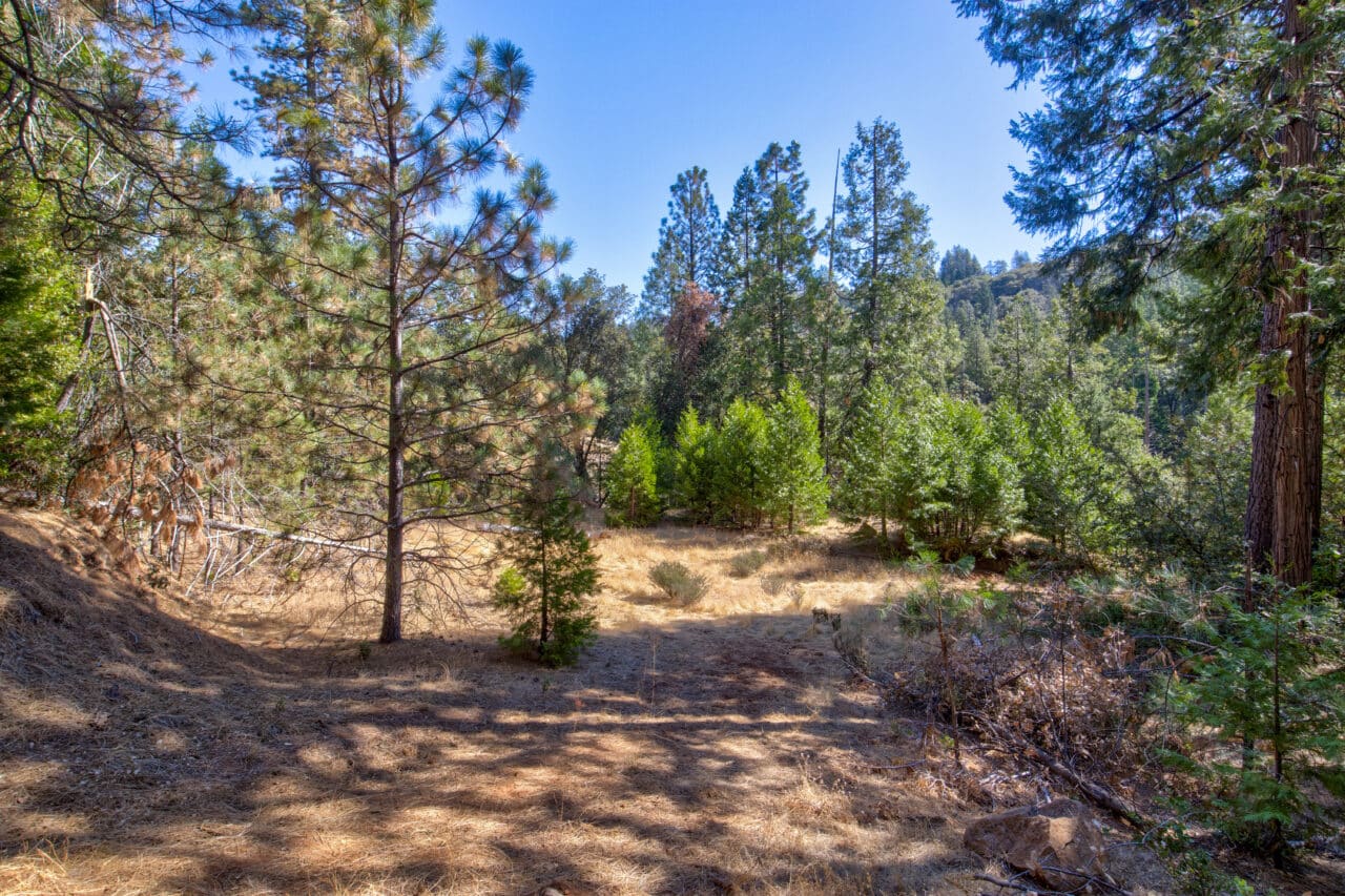 Listing Image 40