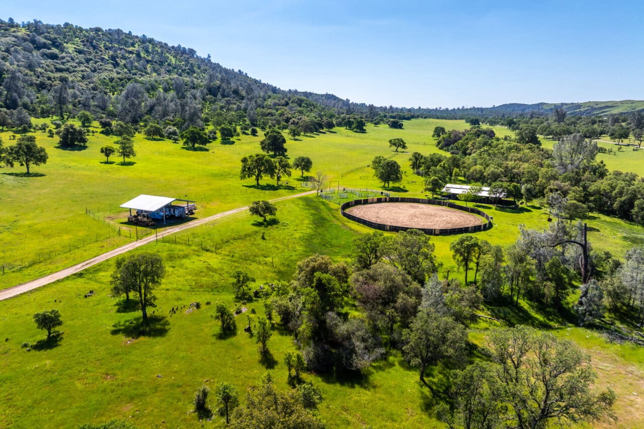 The Gann Ranch