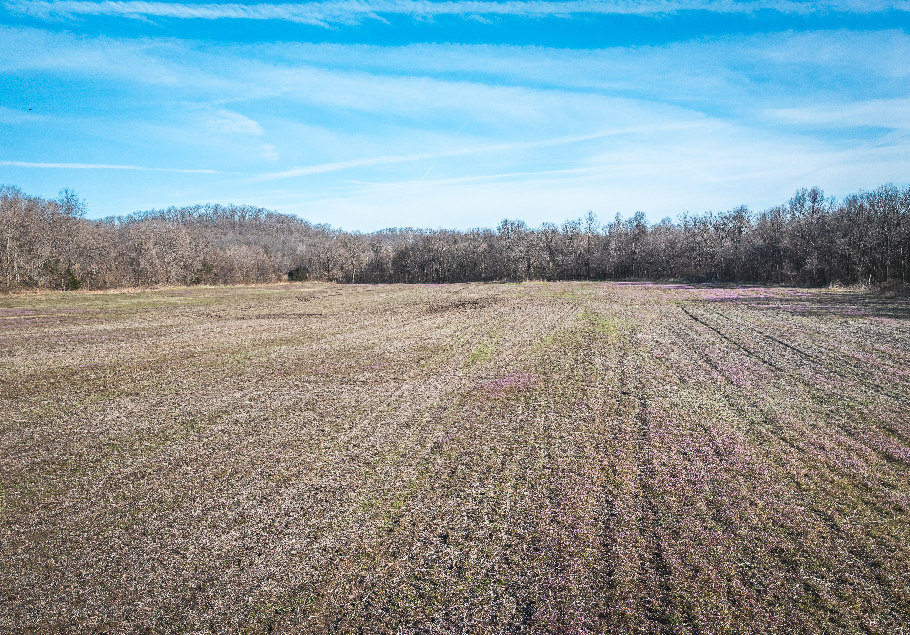 Listing Image 70