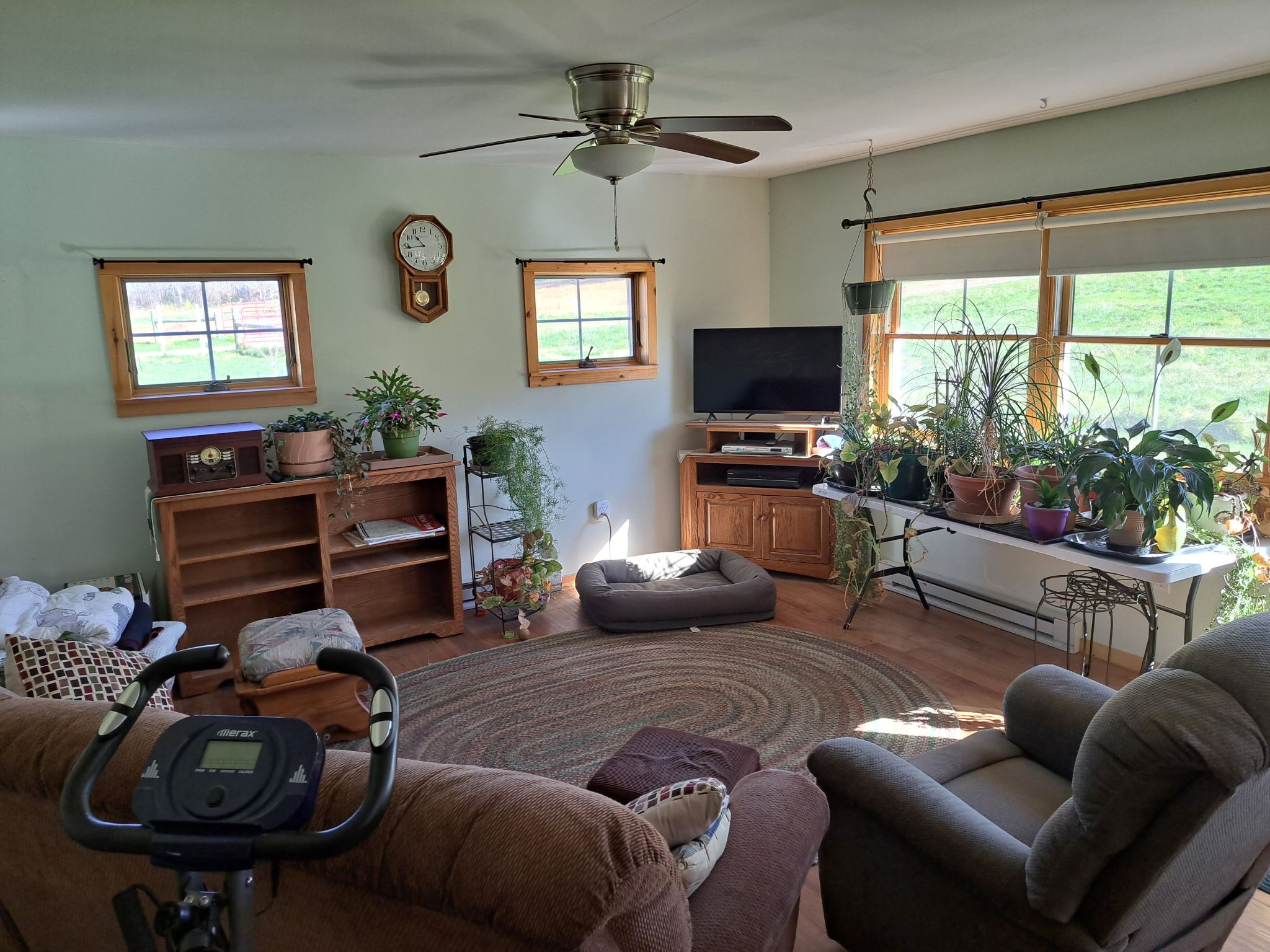 Listing Image 31