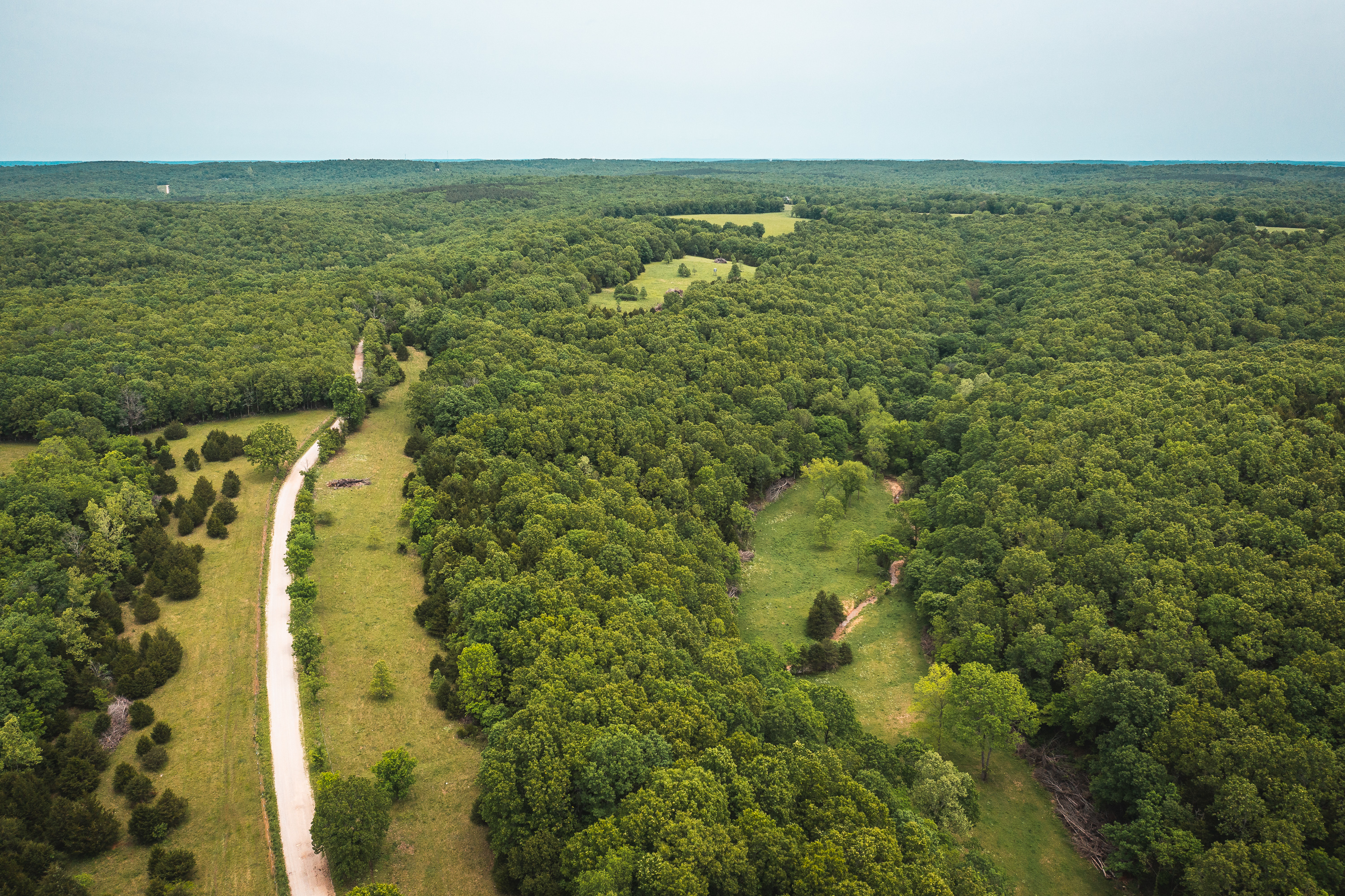 Gasconade Angus Ranch