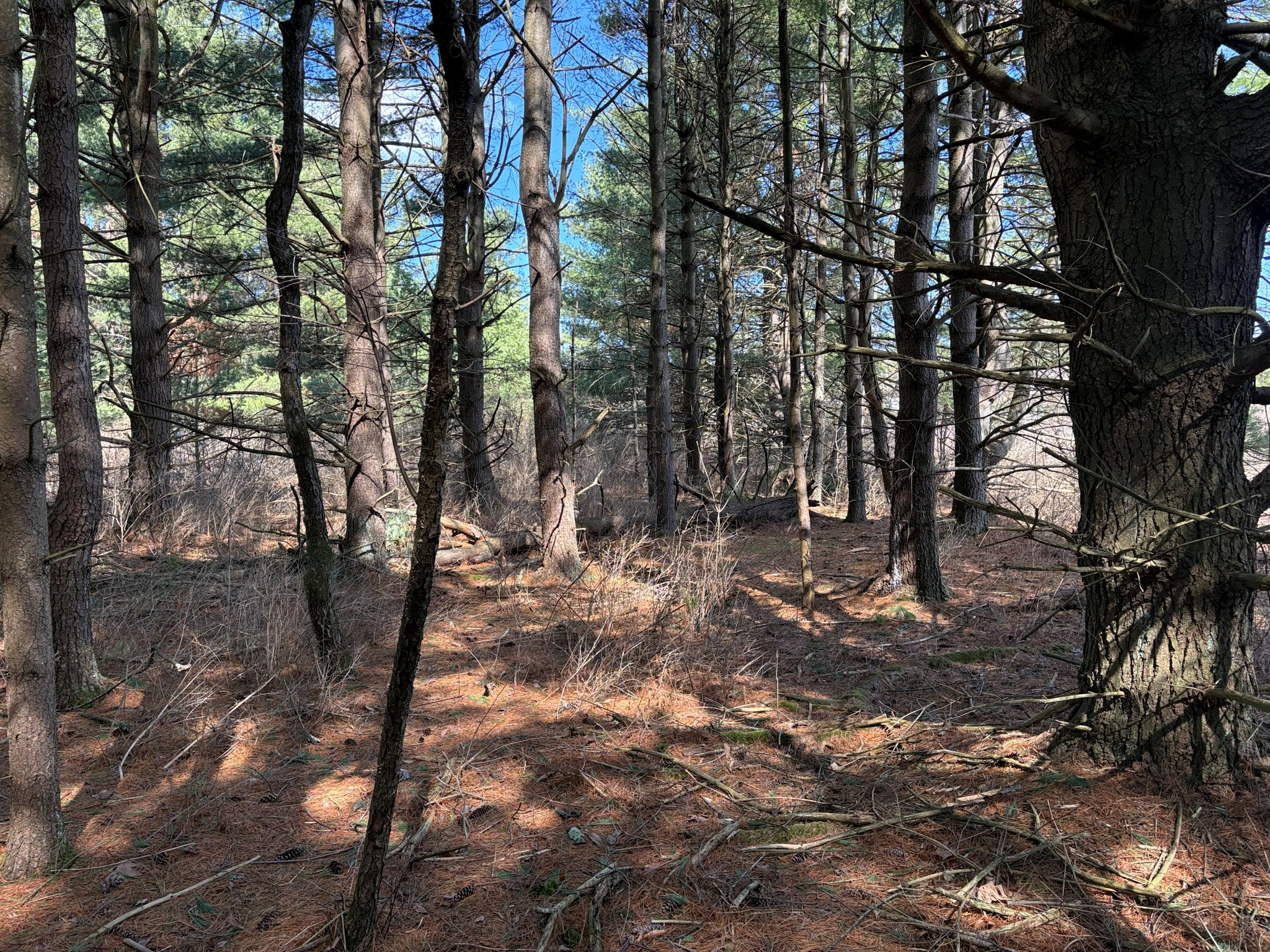 Listing Image 19
