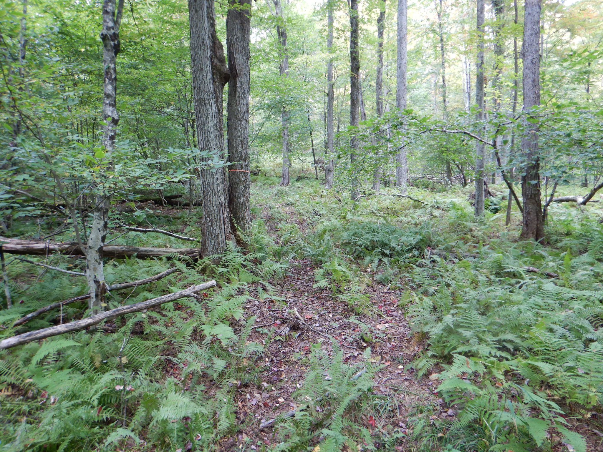 Listing Image 26