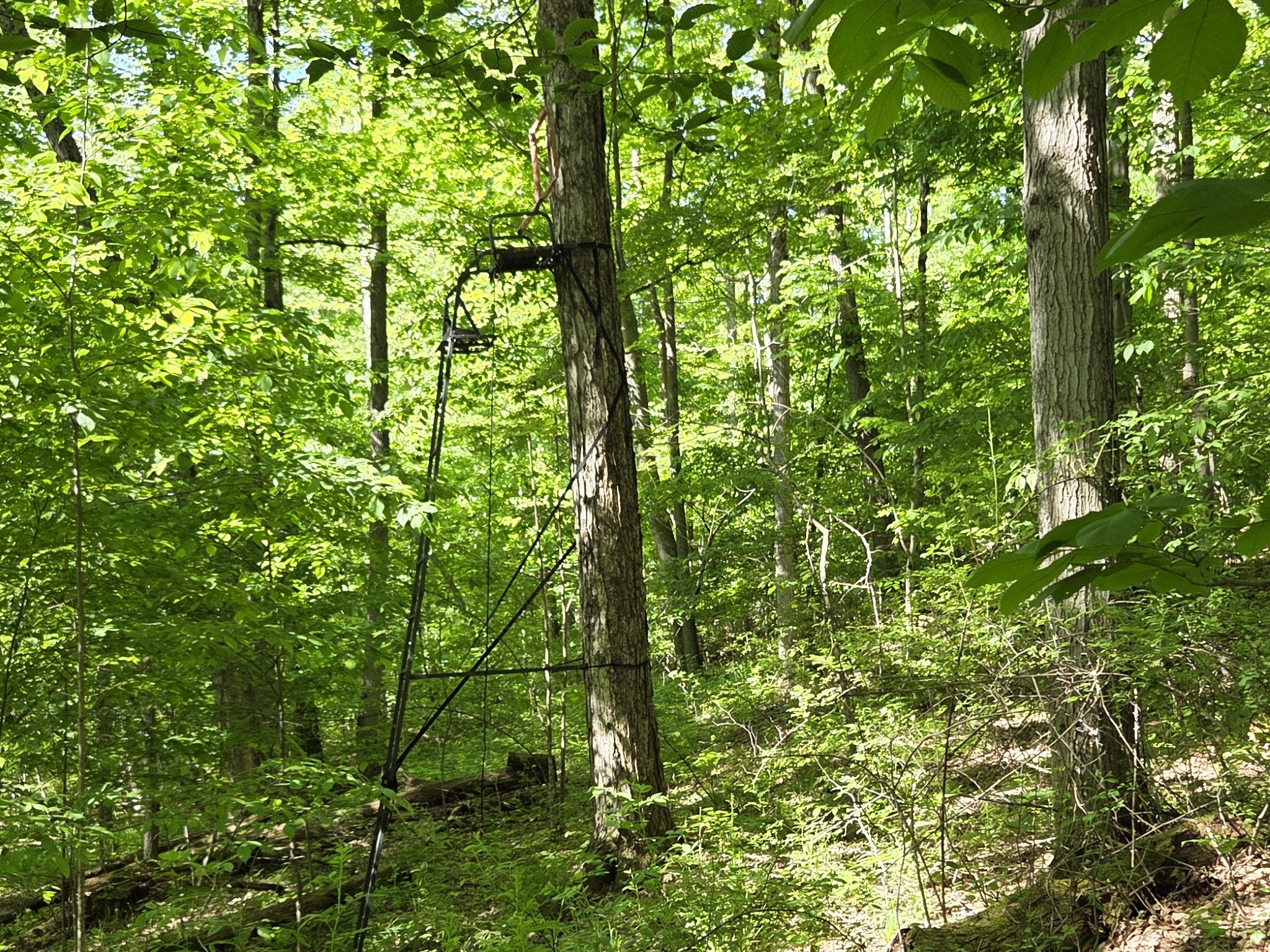 Listing Image 31