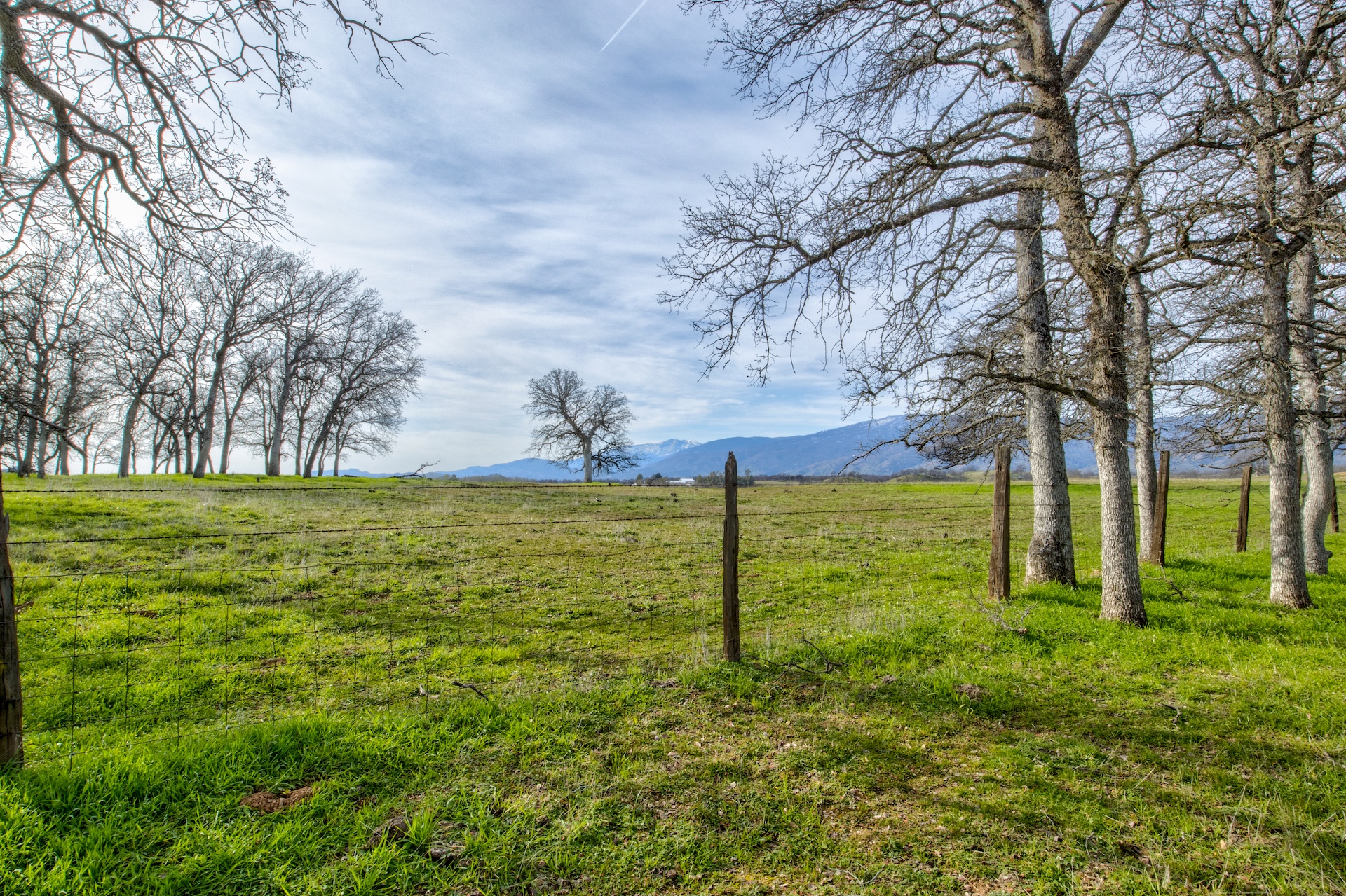 Elk Creek Ranchette