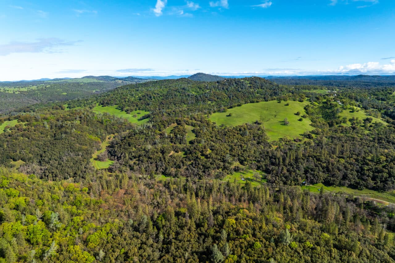 Hyatt Ranch