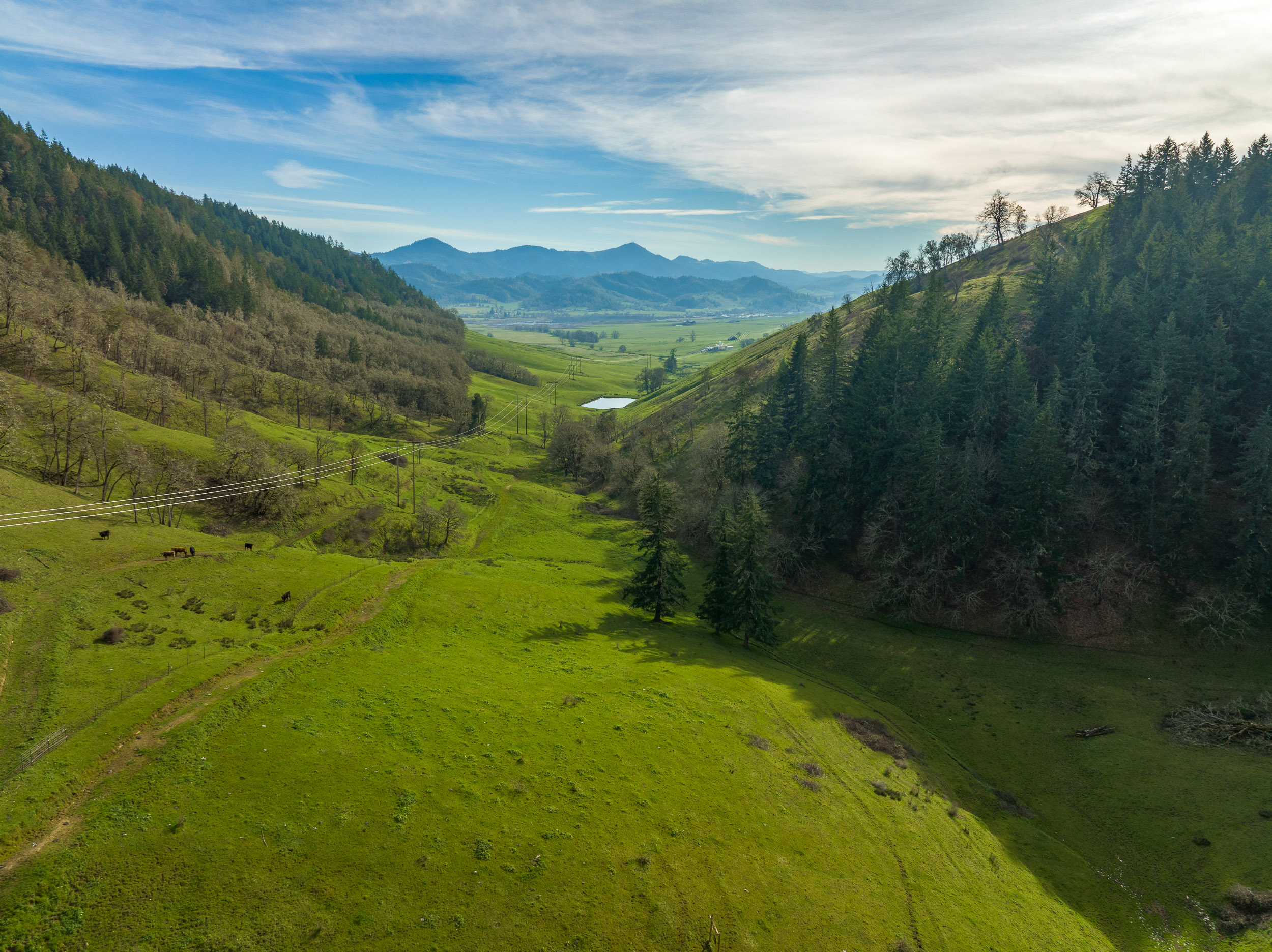 N Umpqua Ranch - 10181 N Umpqua Hwy