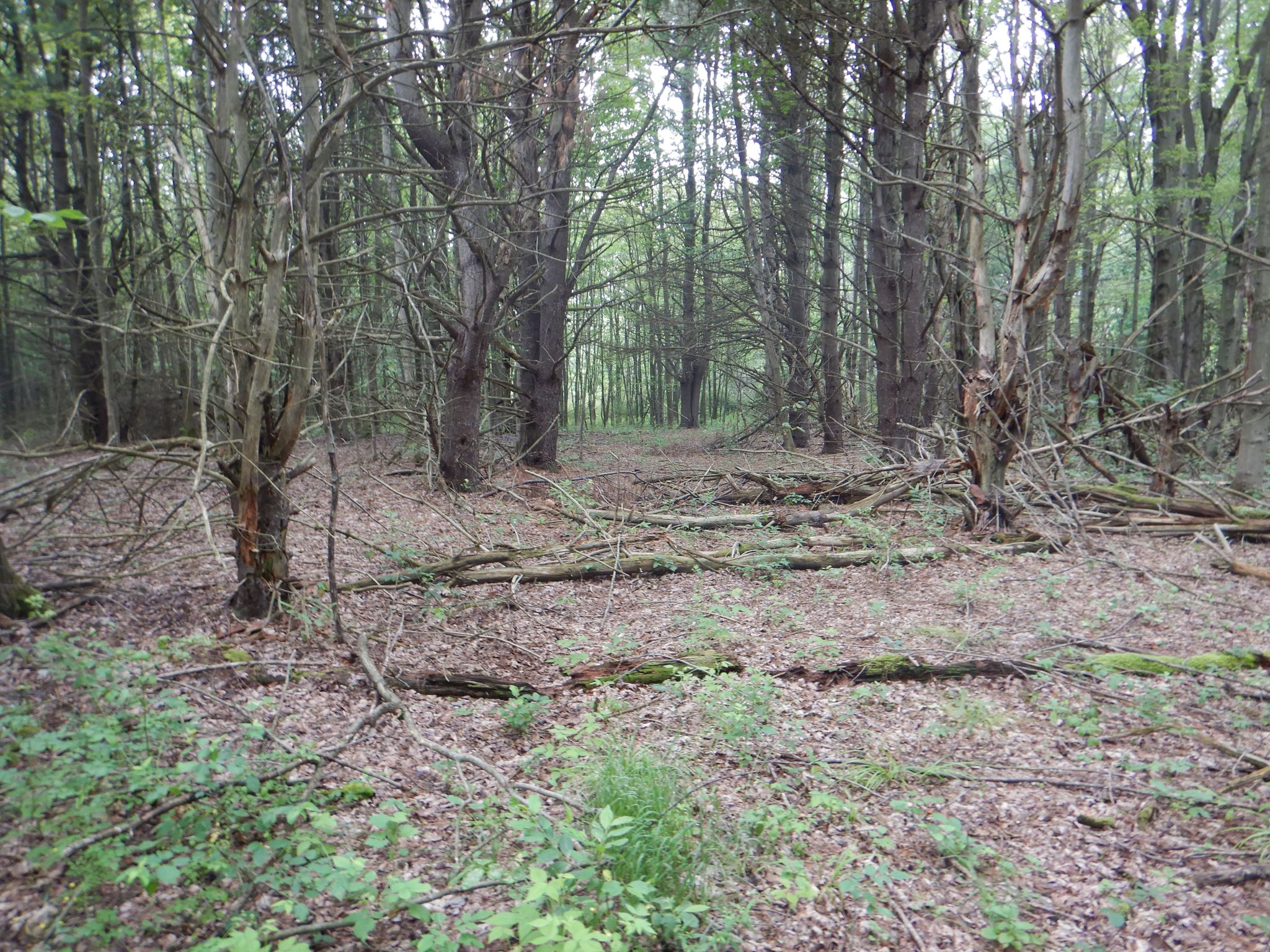 Listing Image 23