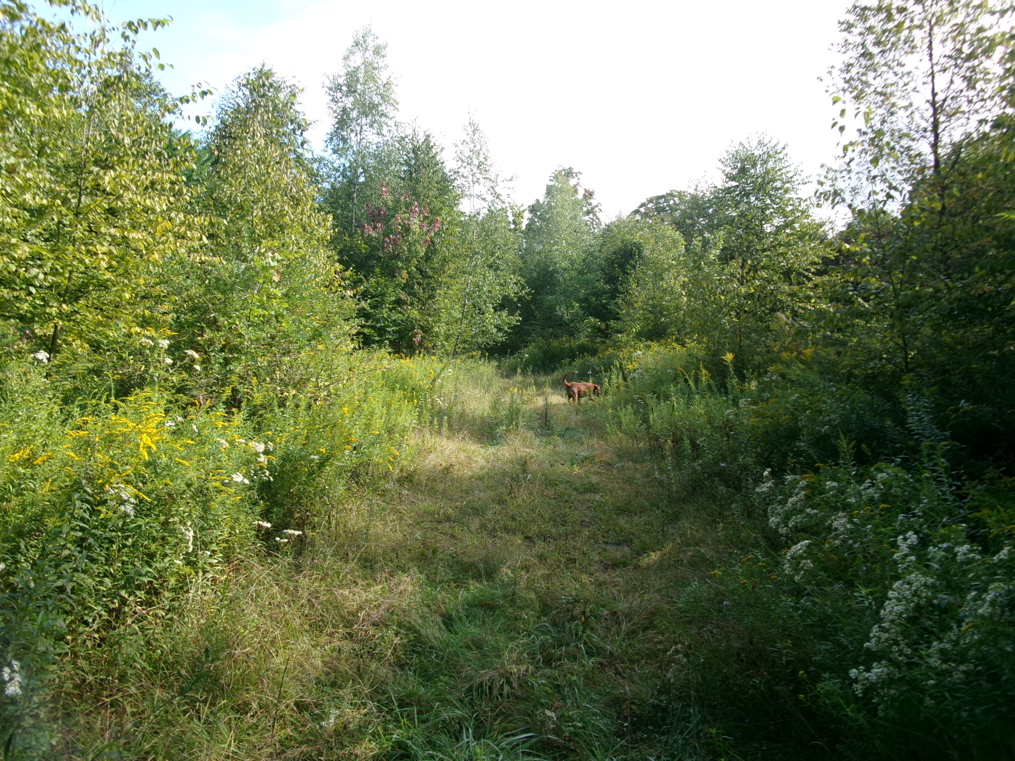 Listing Image 23