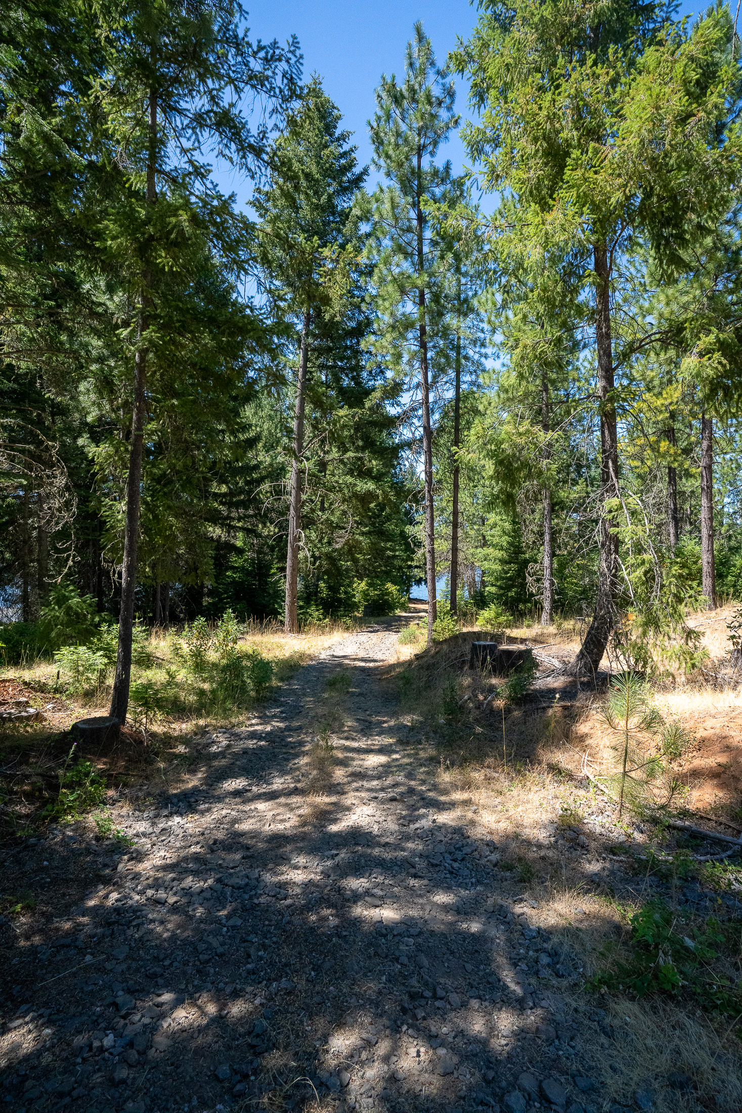 Medco Pond- Recreational Retreat