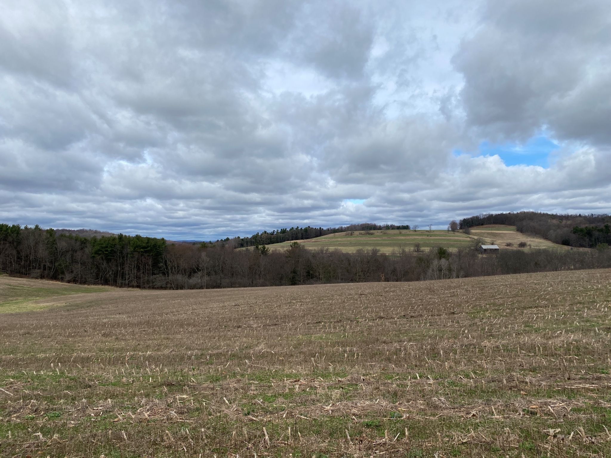 Mark's Meadow