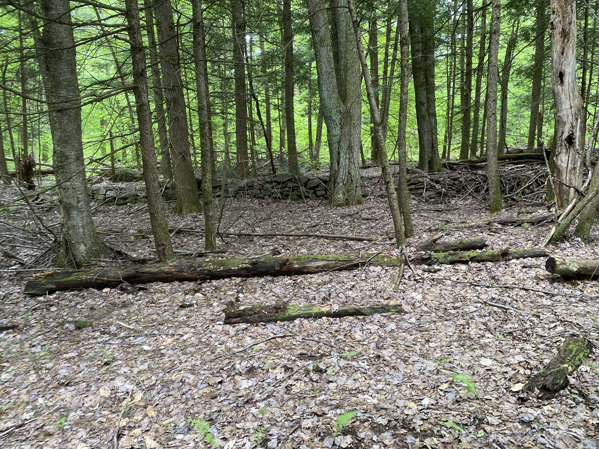 Little Salmon River Country