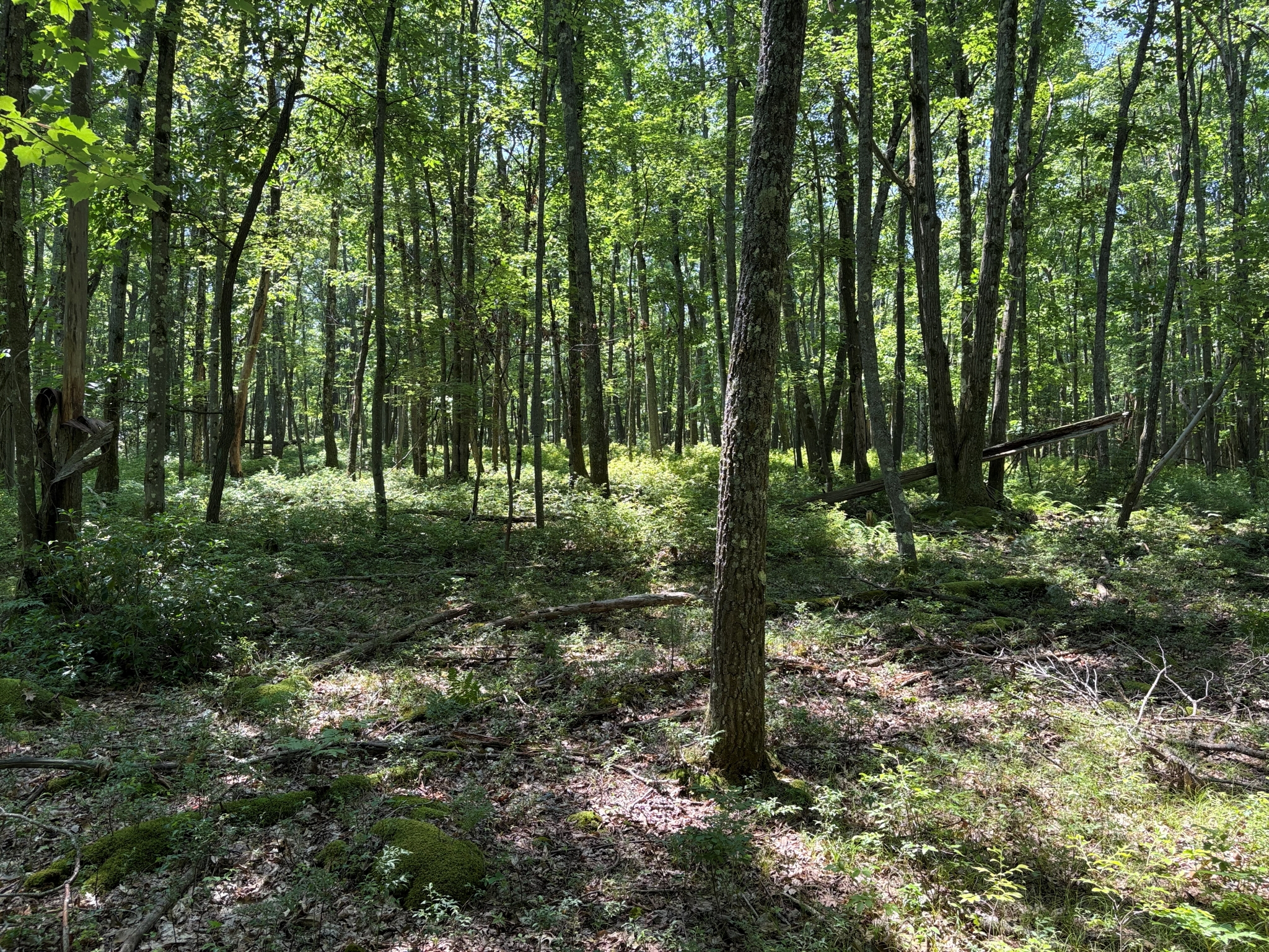 Listing Image 33