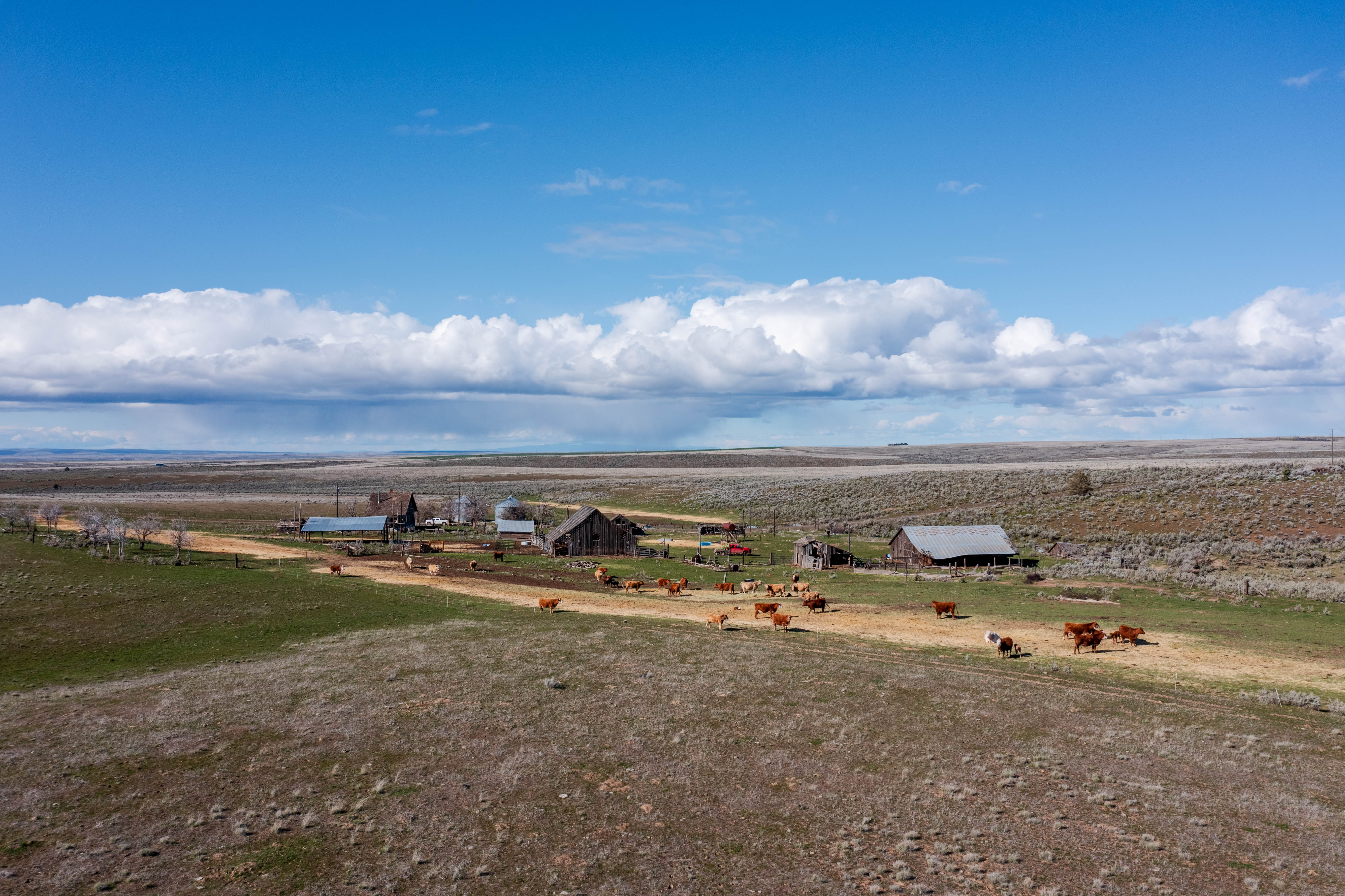 94072 Wilson Lane - Sherman County Farm for Sale