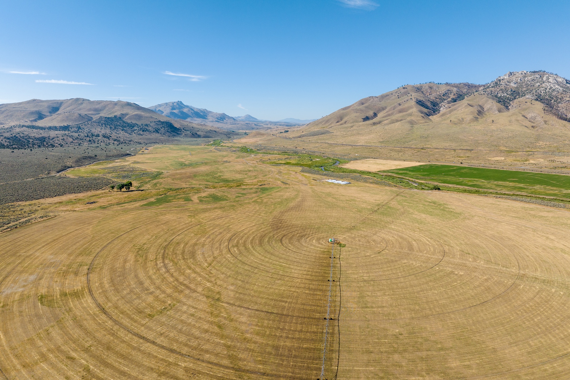 Constantia Ranch