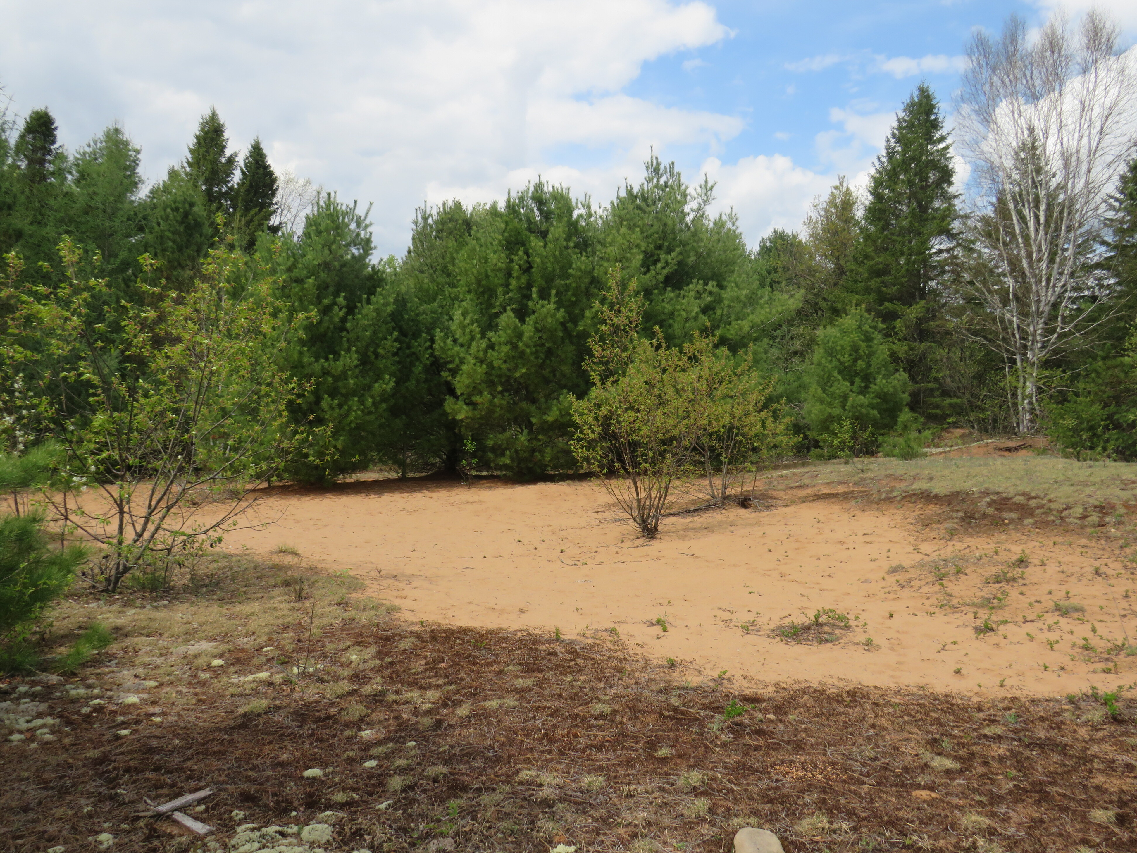 160 Acre Wilderness Retreat 50175391
