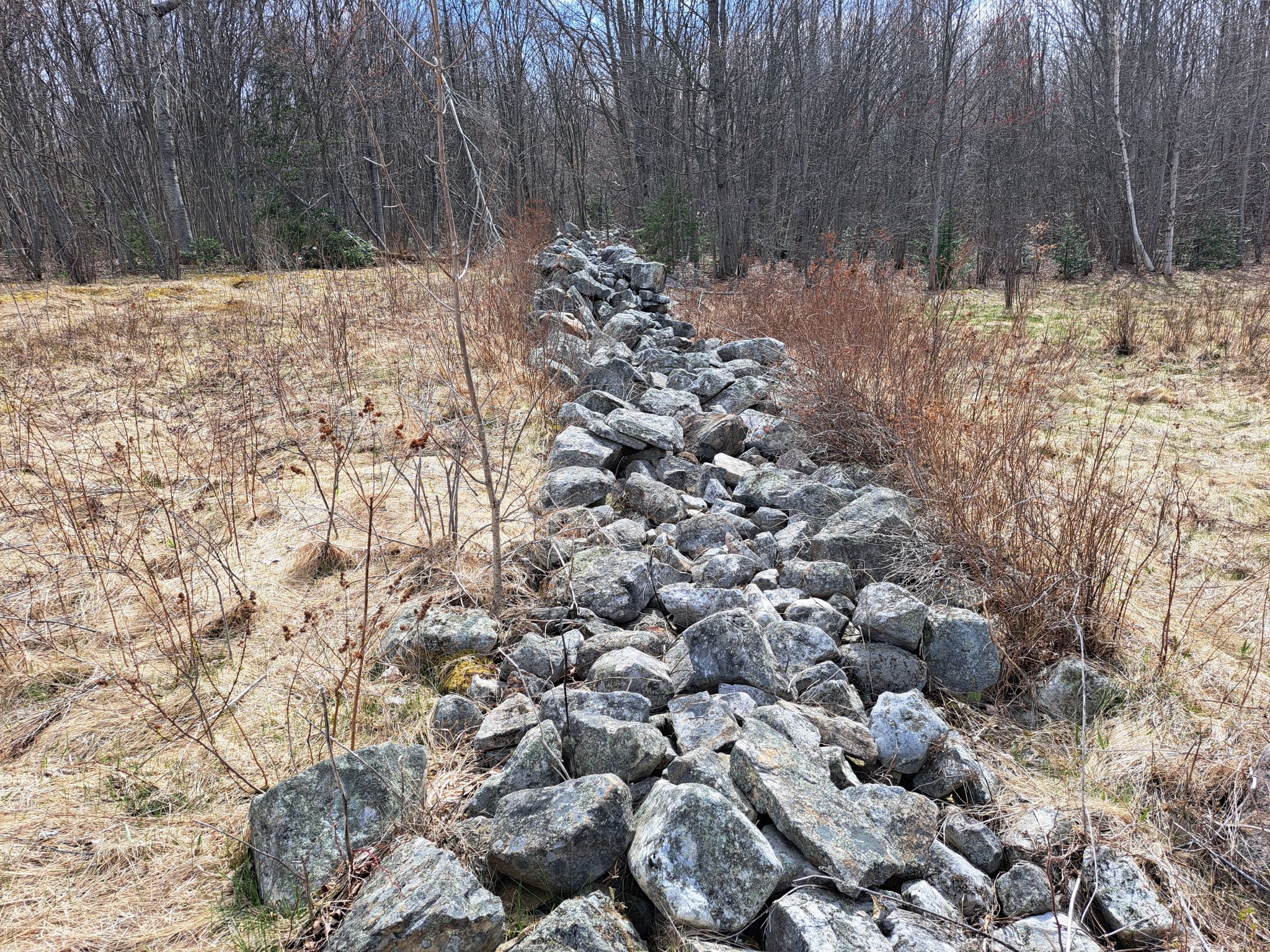 Listing Image 20