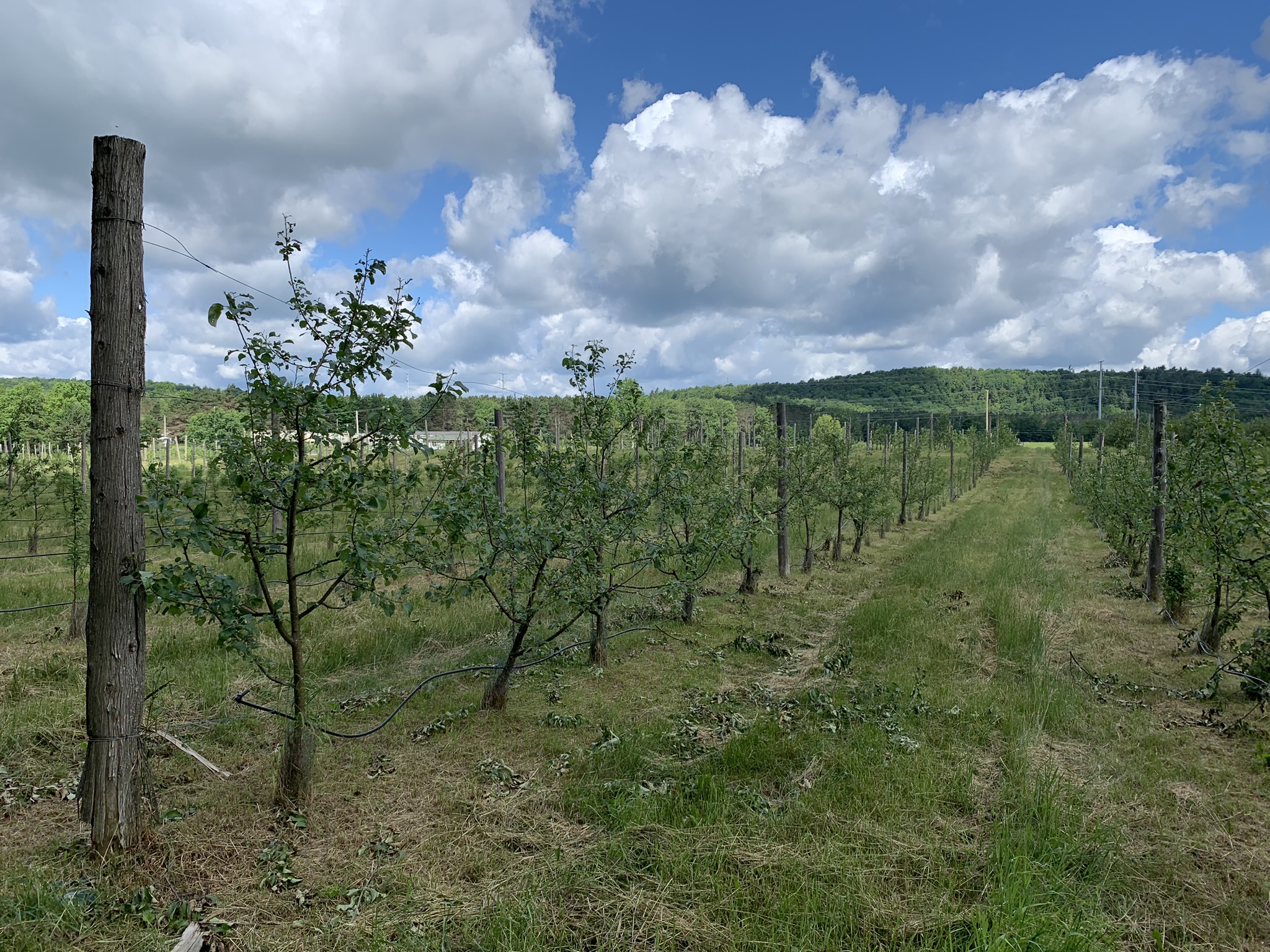 Listing Image 23