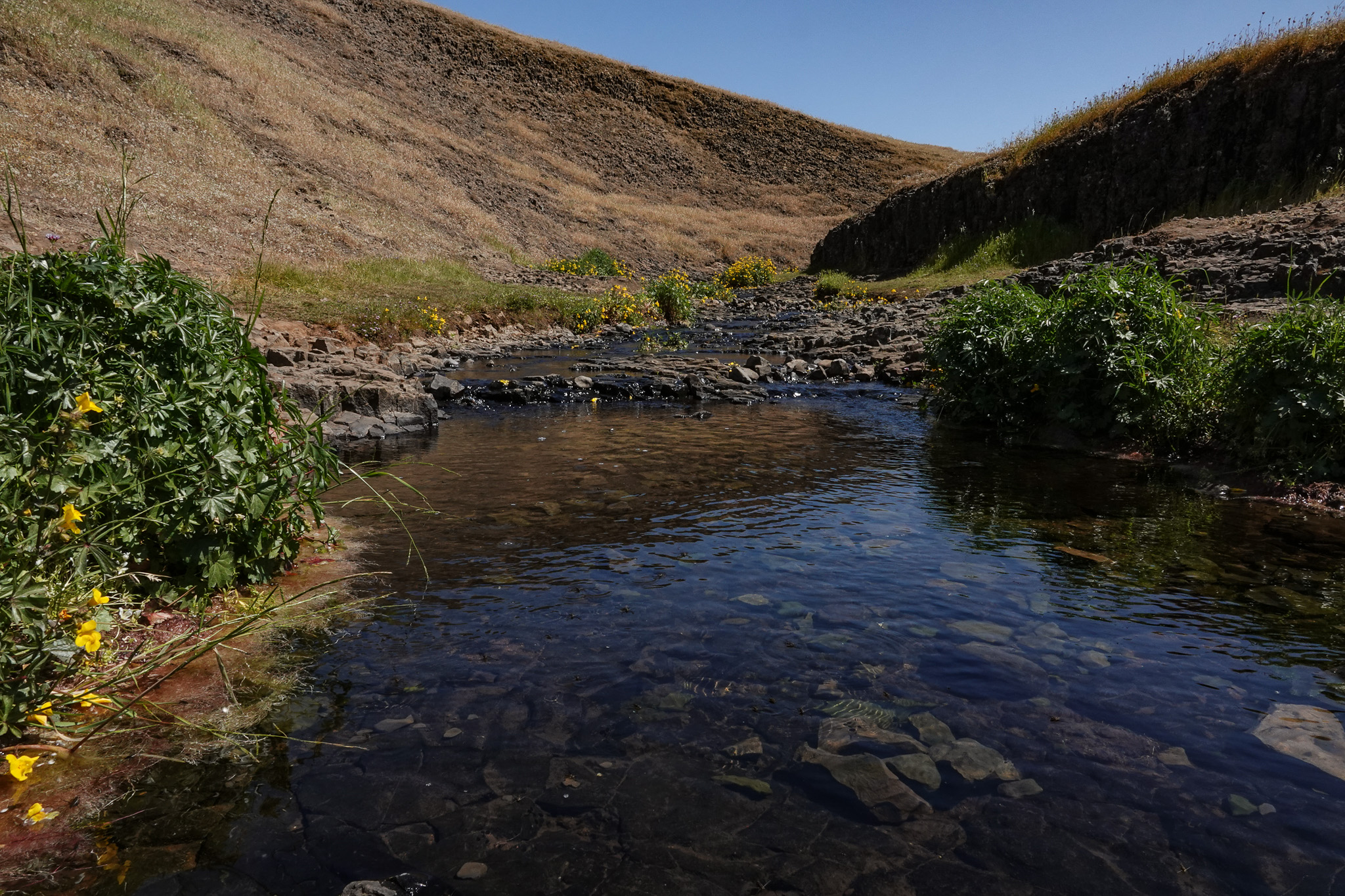 Listing Image 80