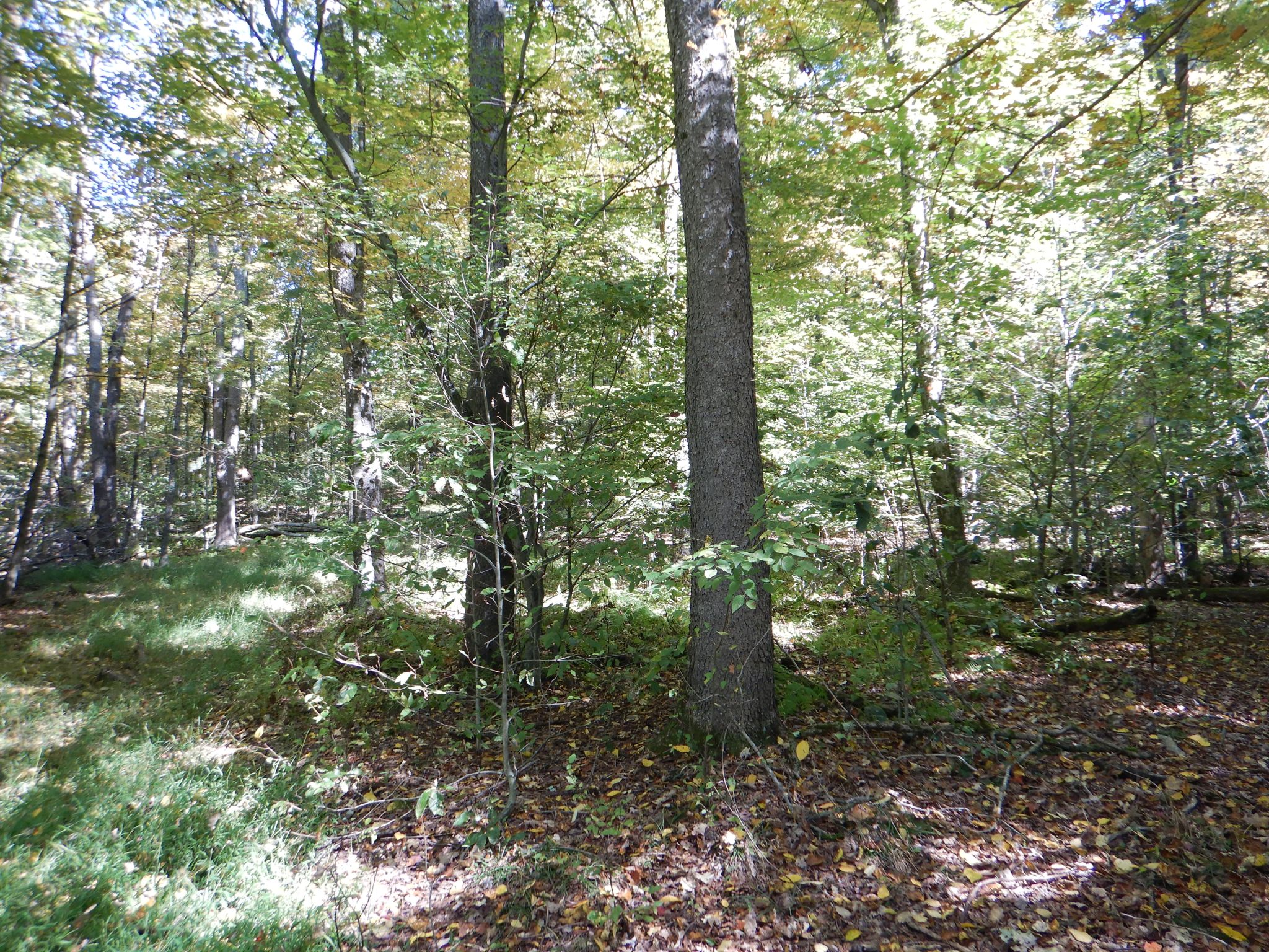 Listing Image 21