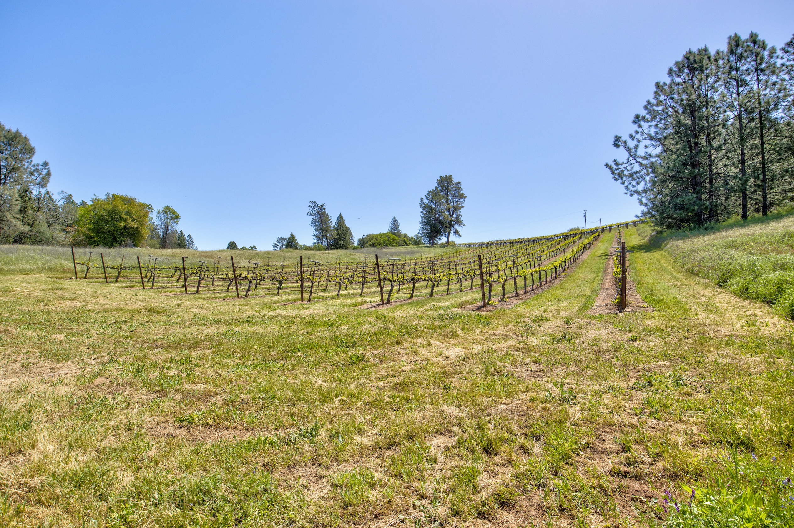 Listing Image 67
