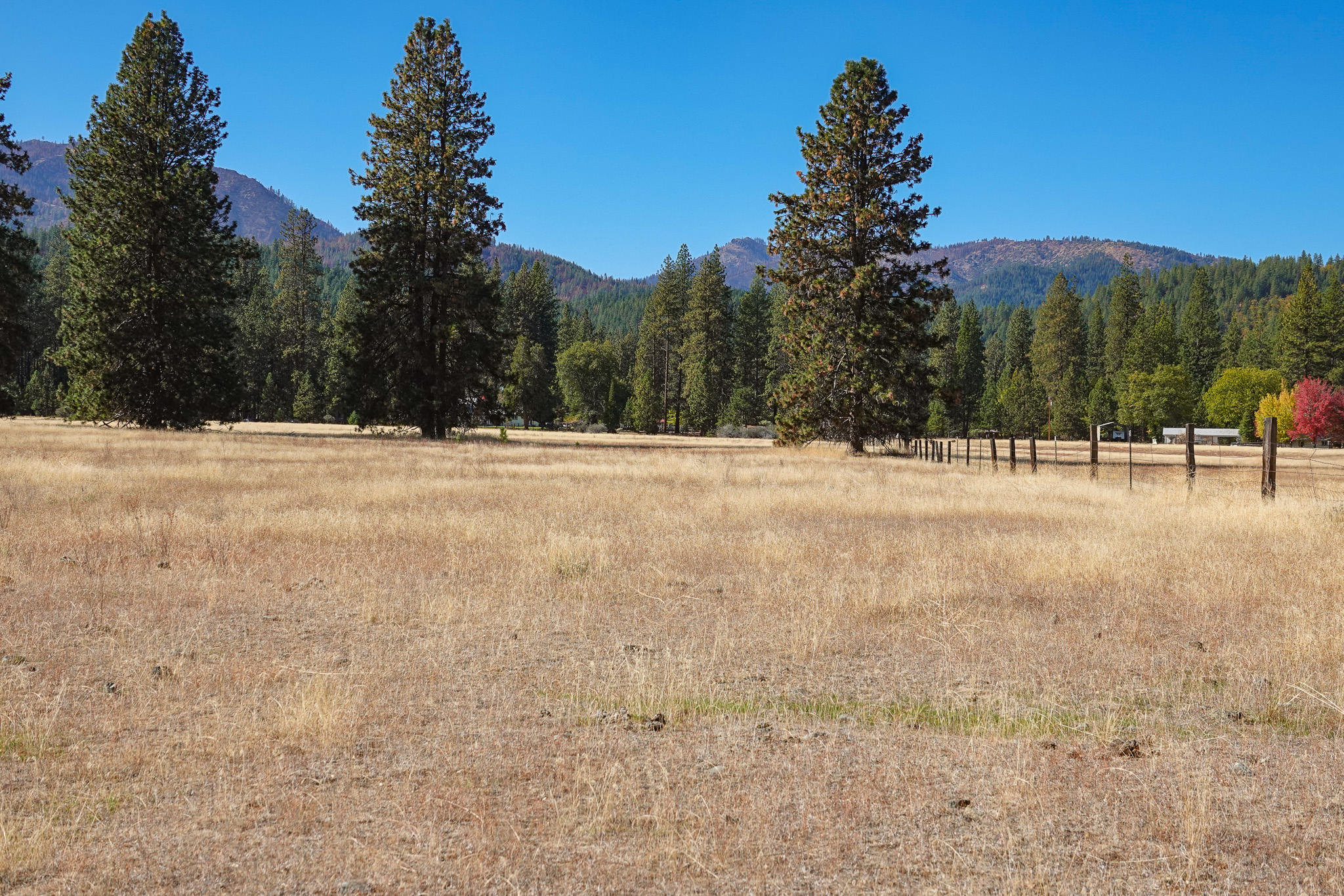 Mountain View Meadow