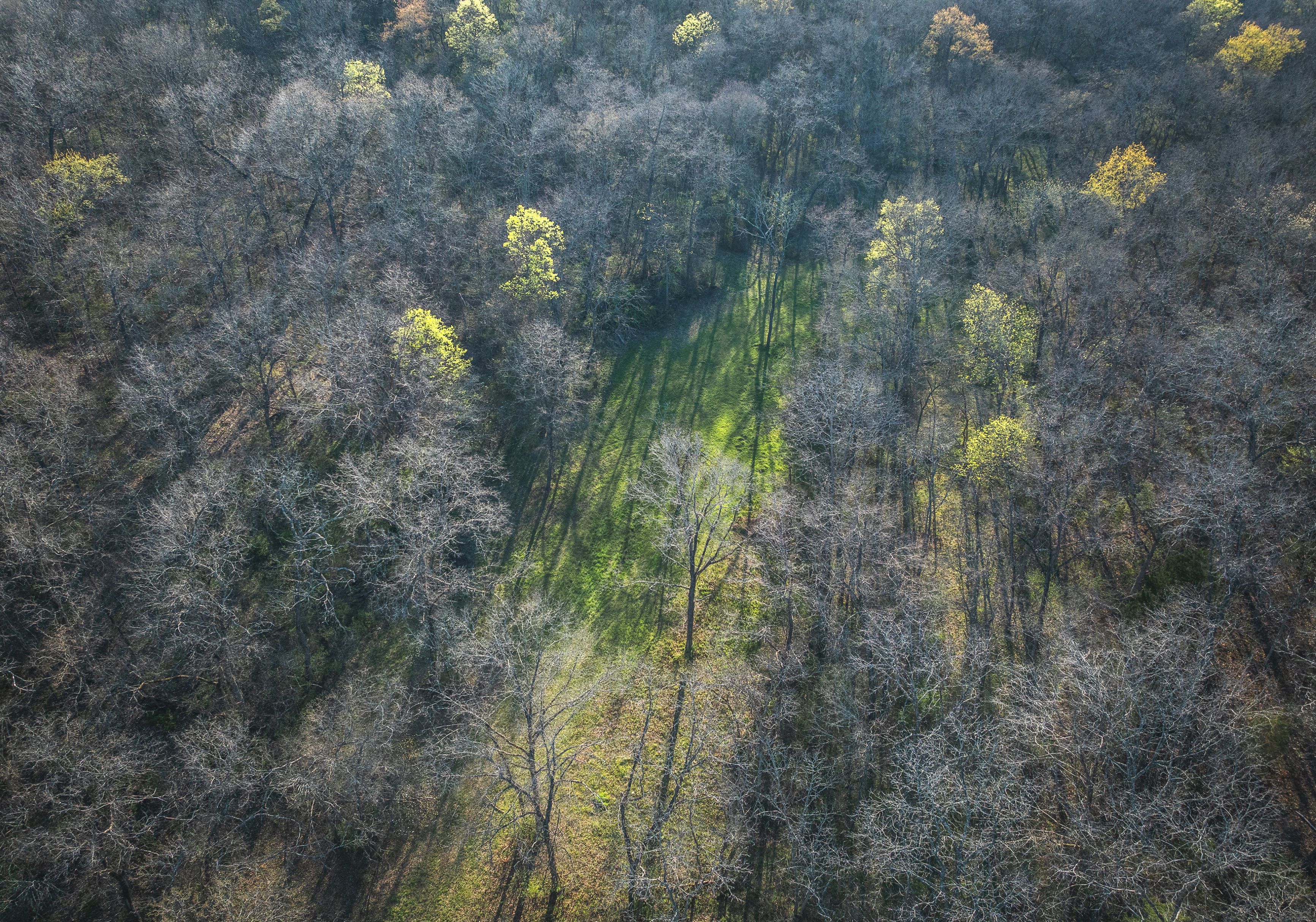 Meramec Paradise