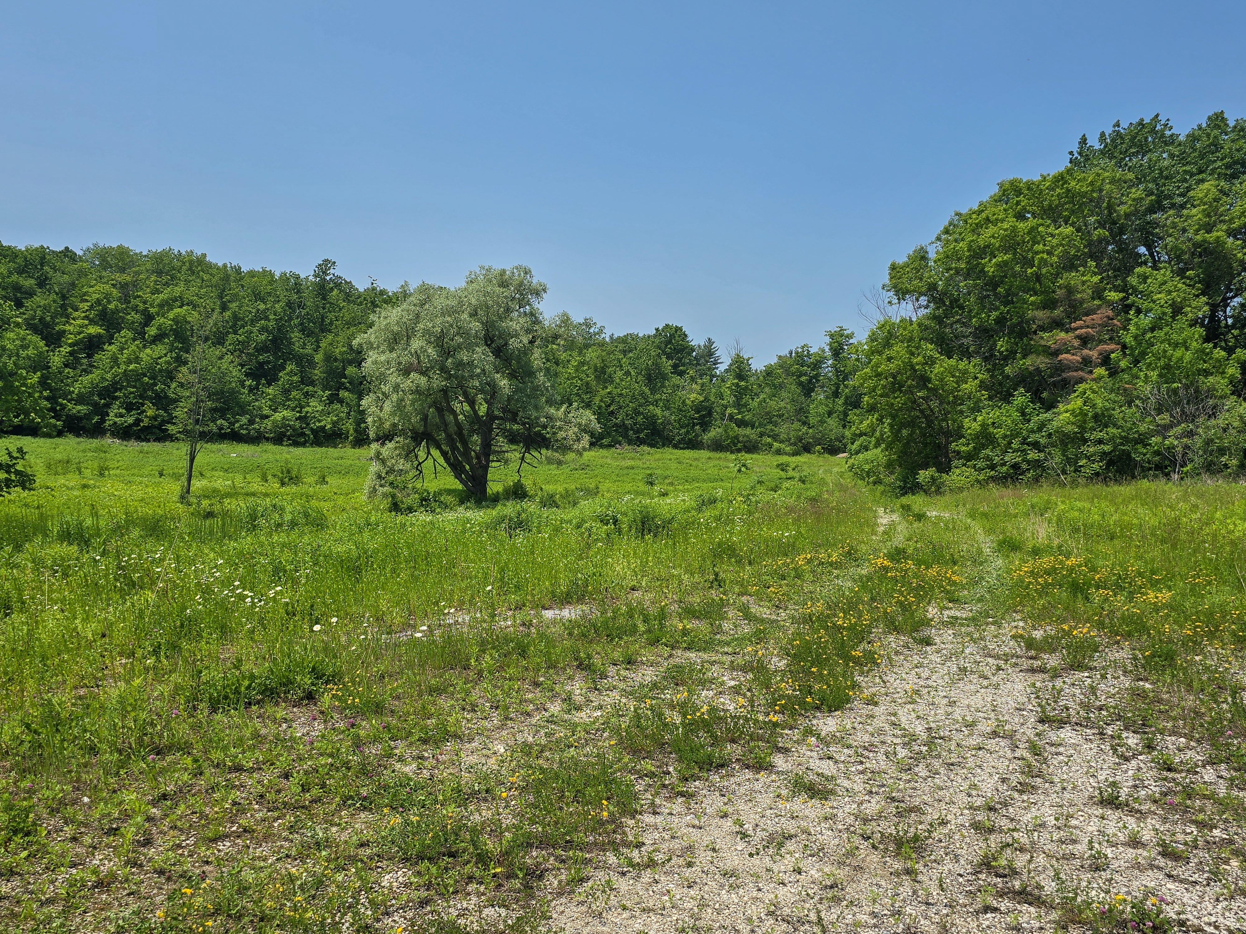 21 Nickerson Rd - Brandon