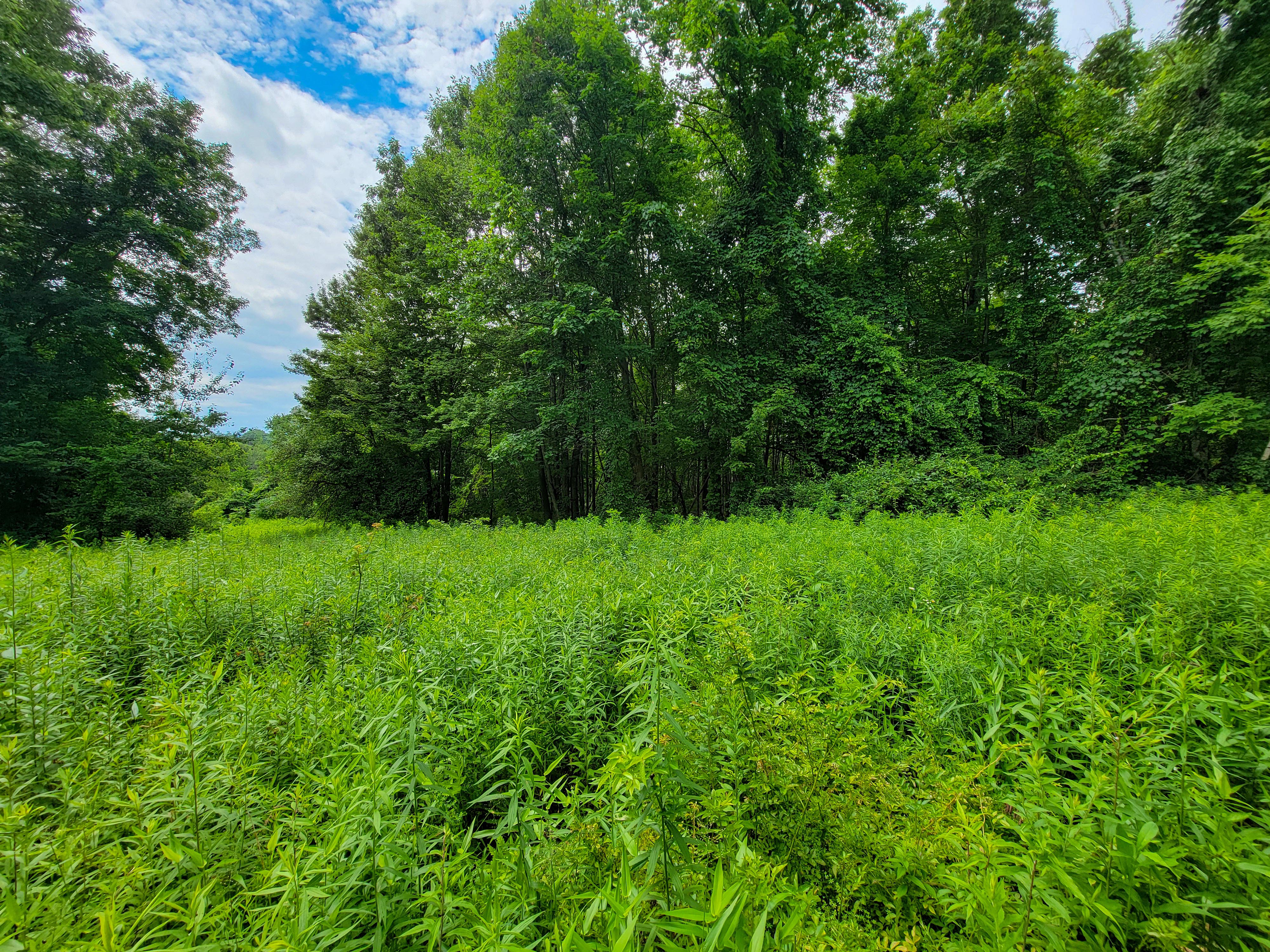 1073 Chapel Rd - Bennington