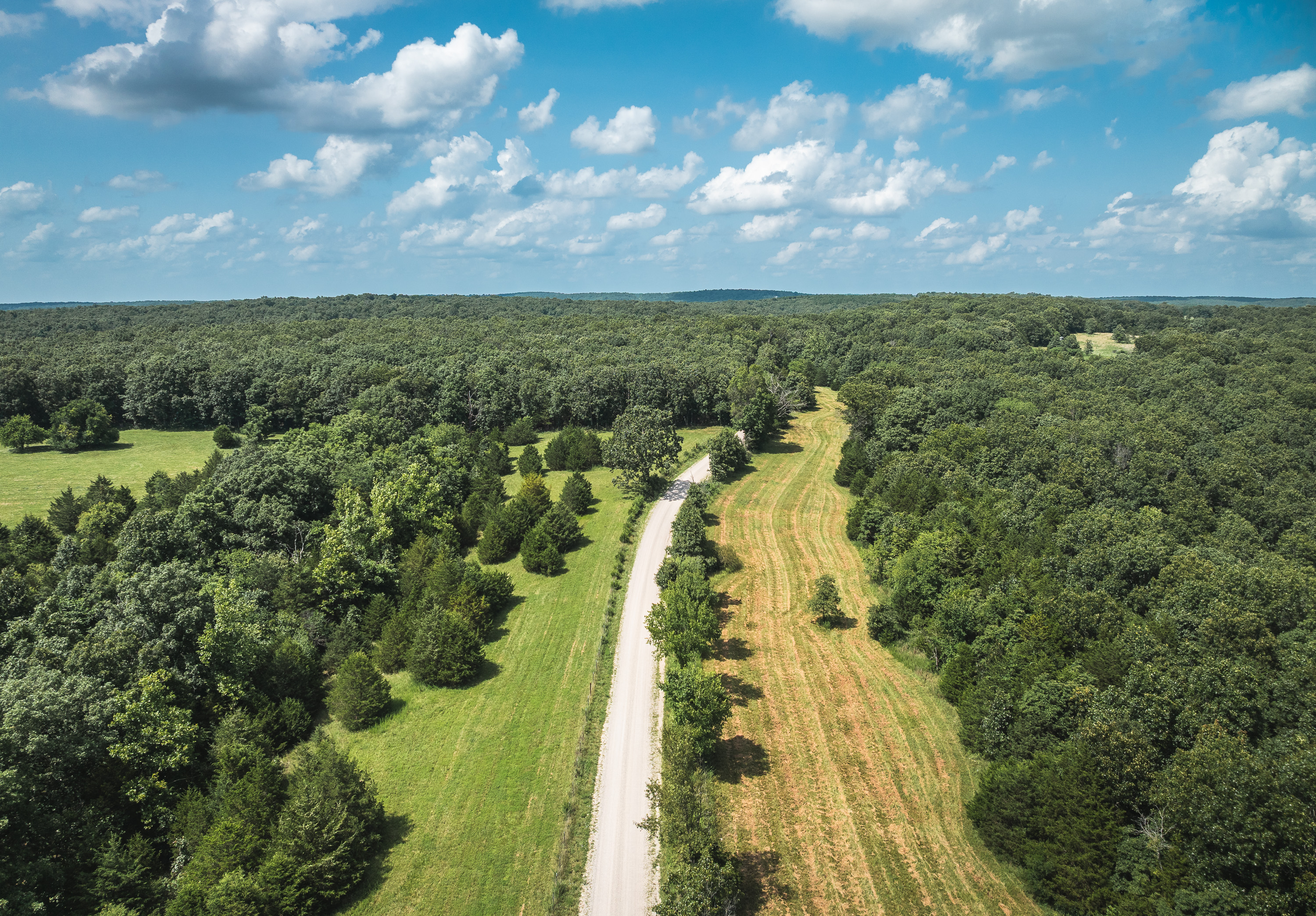 Gasconade Angus Ranch