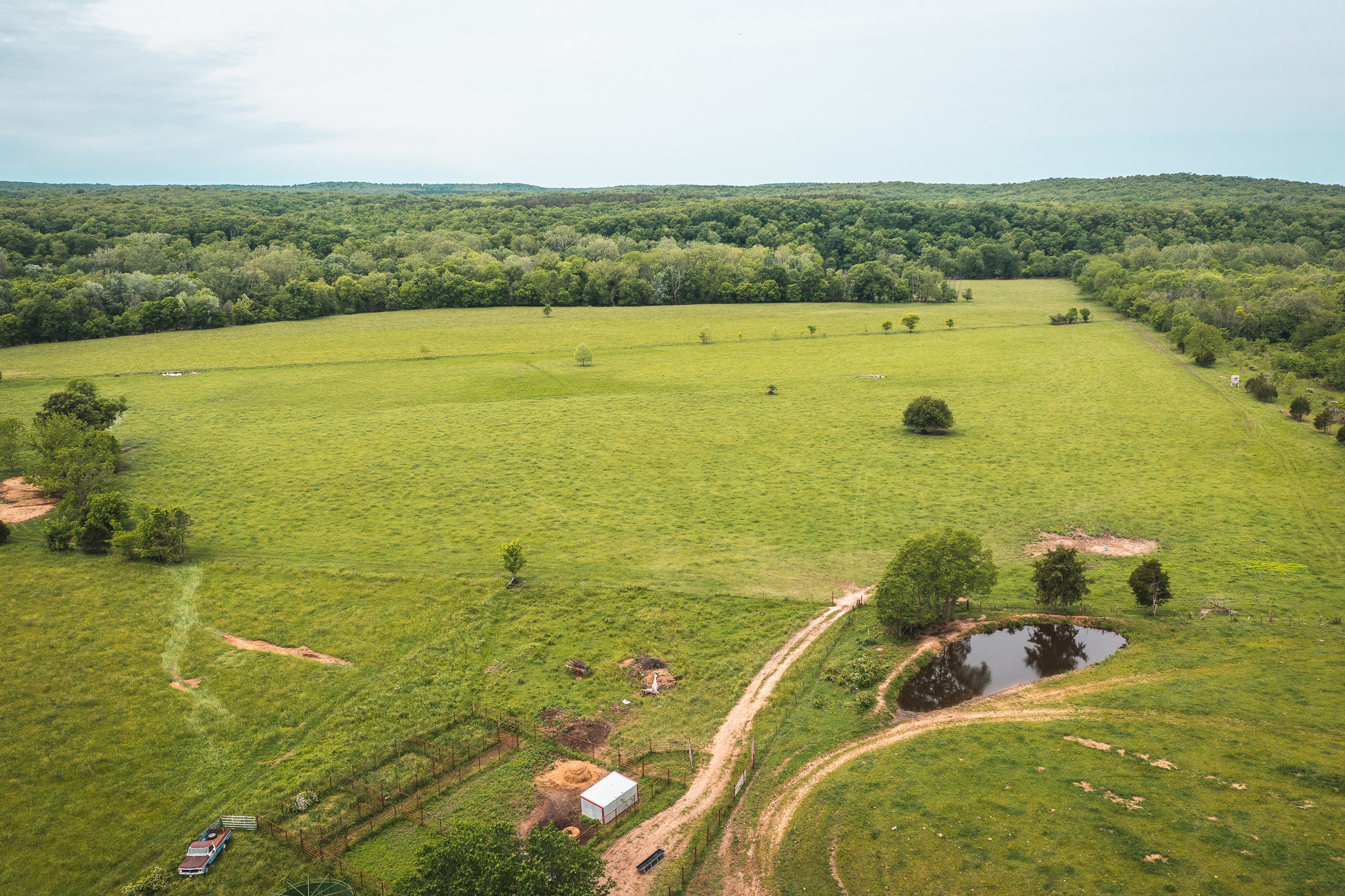 Gasconade Angus Ranch