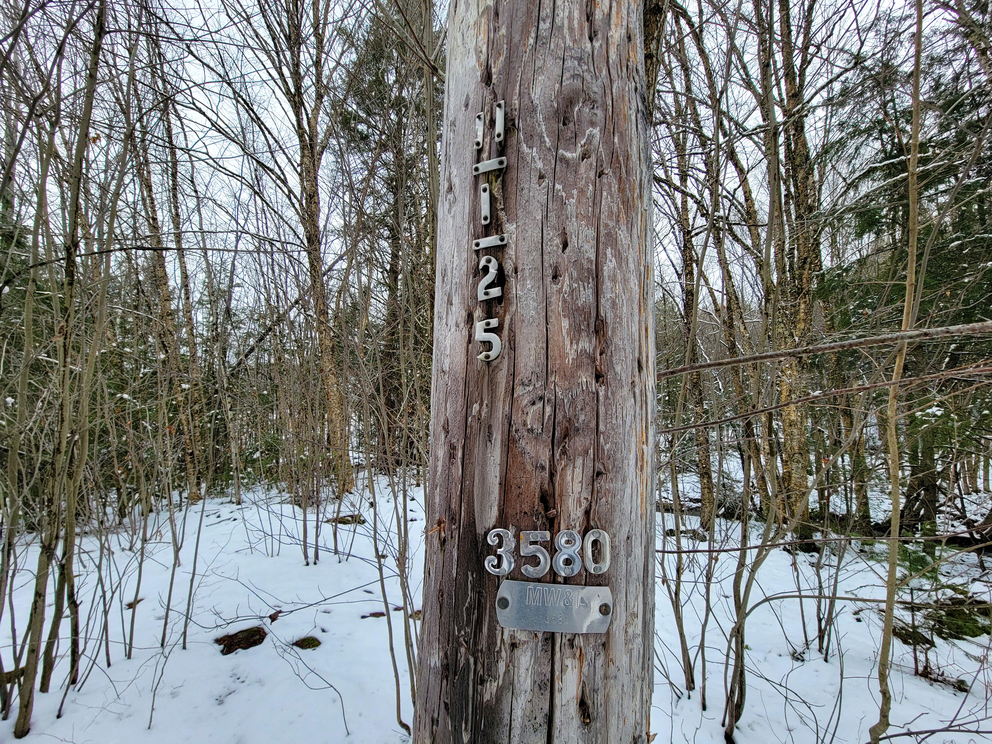 Listing Image 39