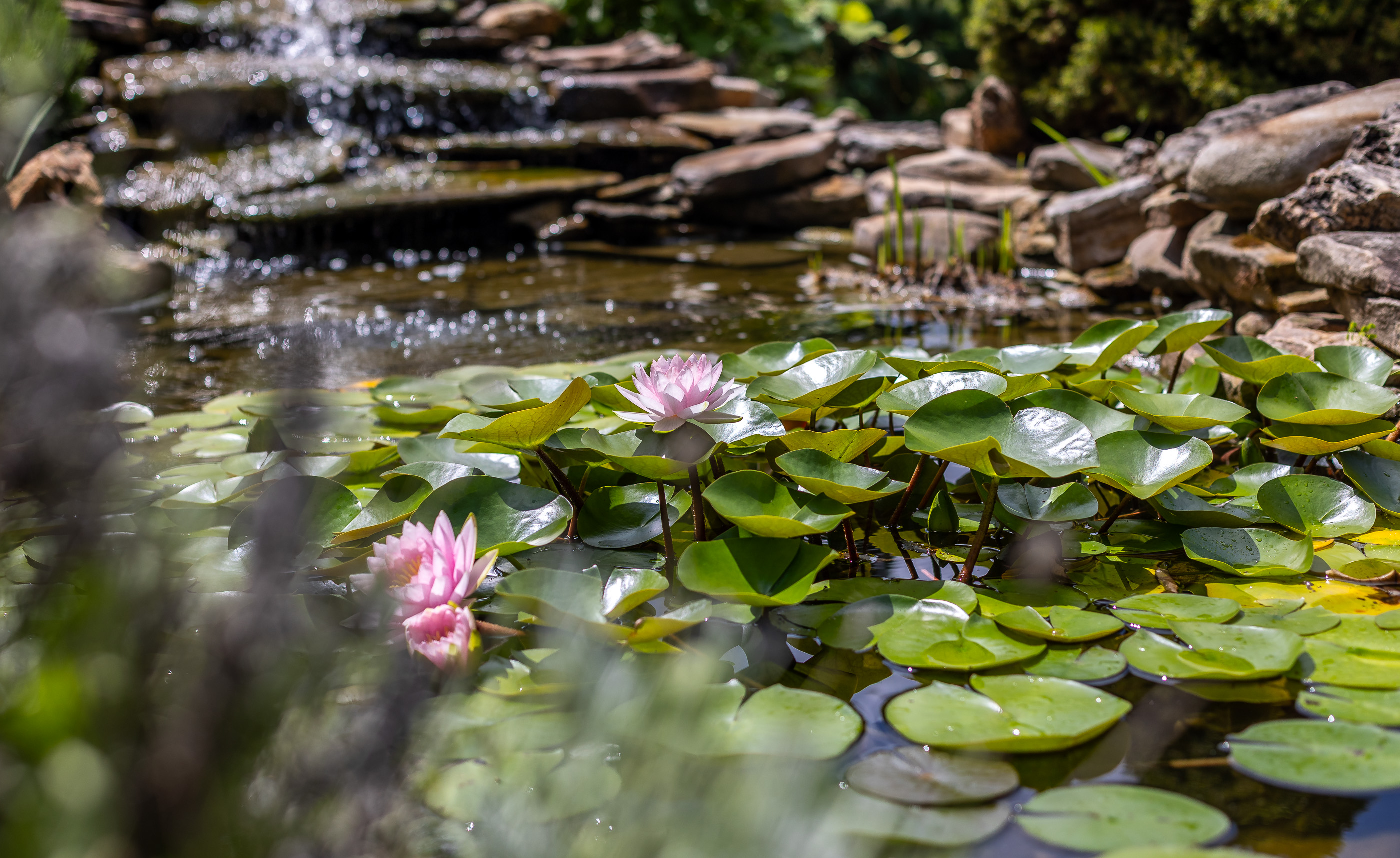 Verdant Bloom Retreat