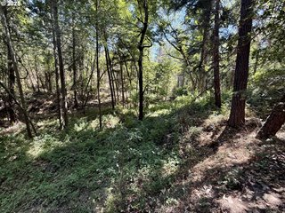 5 Acres-Hwy 238 Applegate, OR