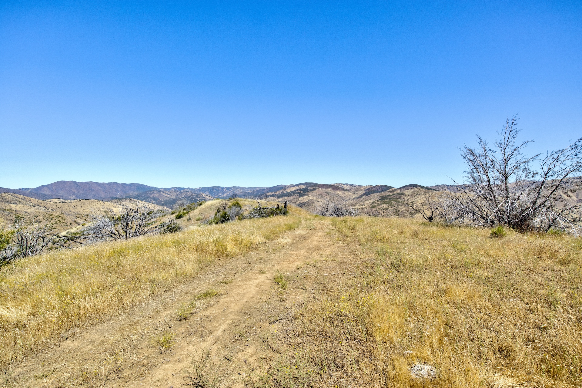 Old Iron Gate Ranch