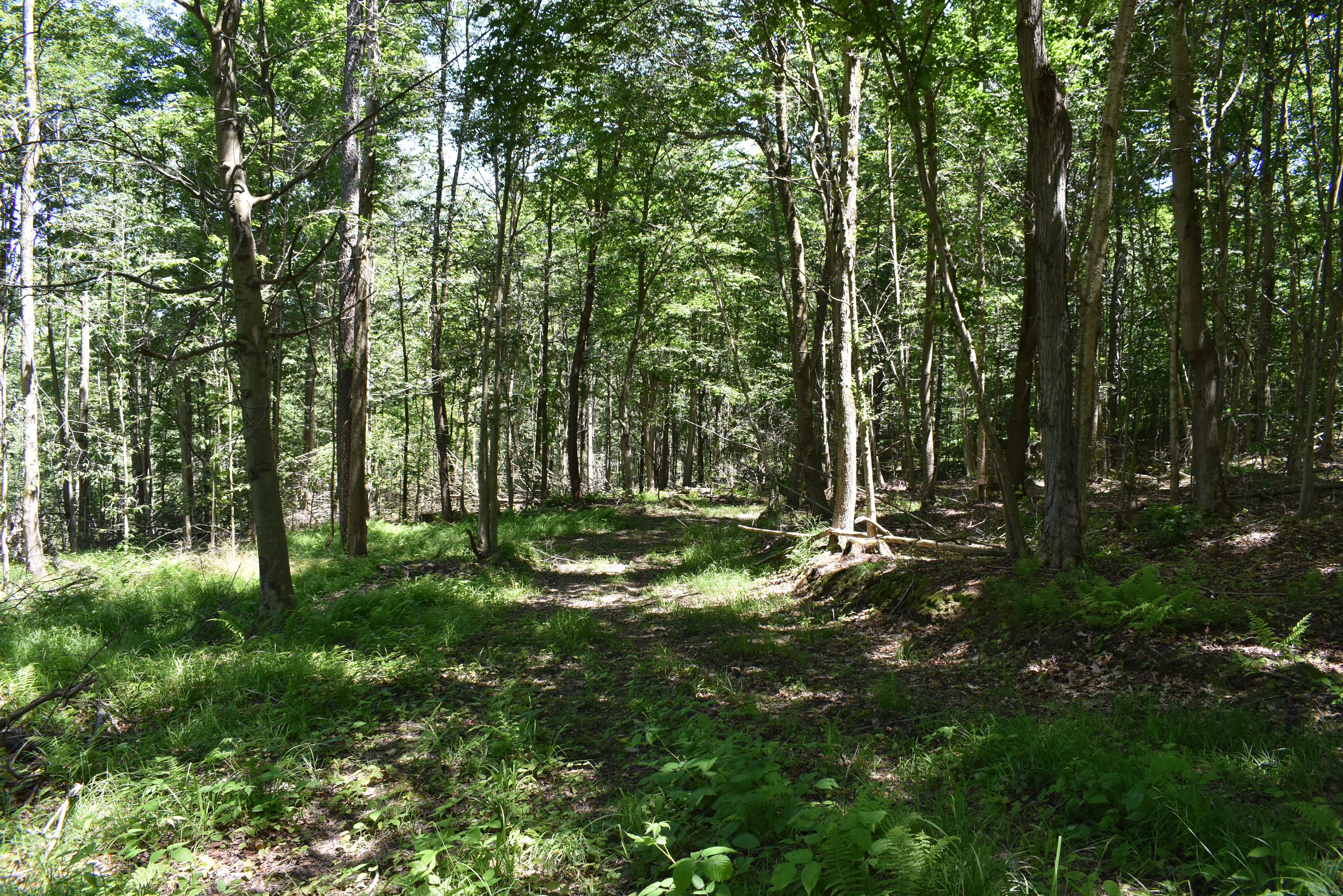 Fabulous Farrington Hollow