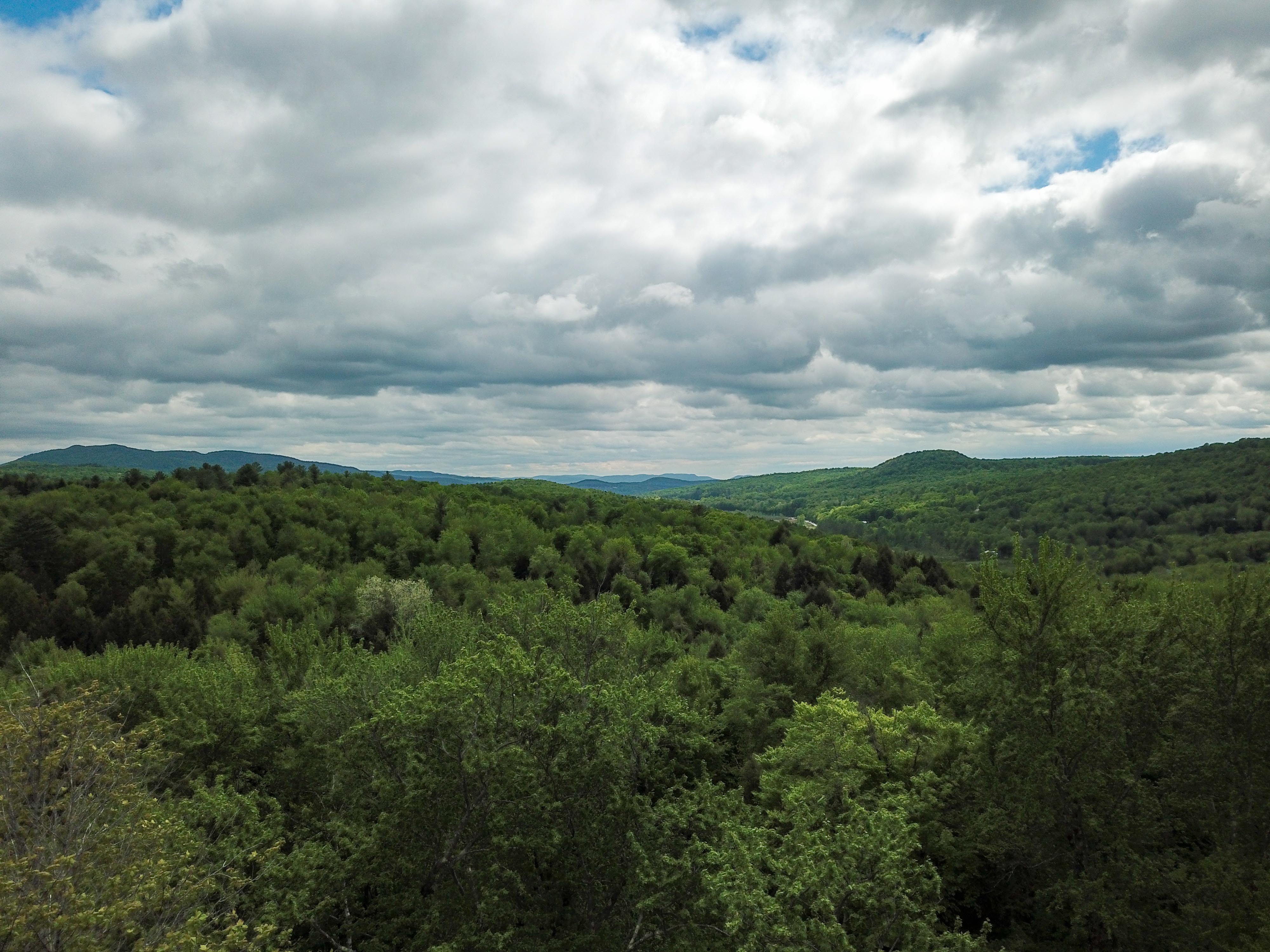 Listing Image 53