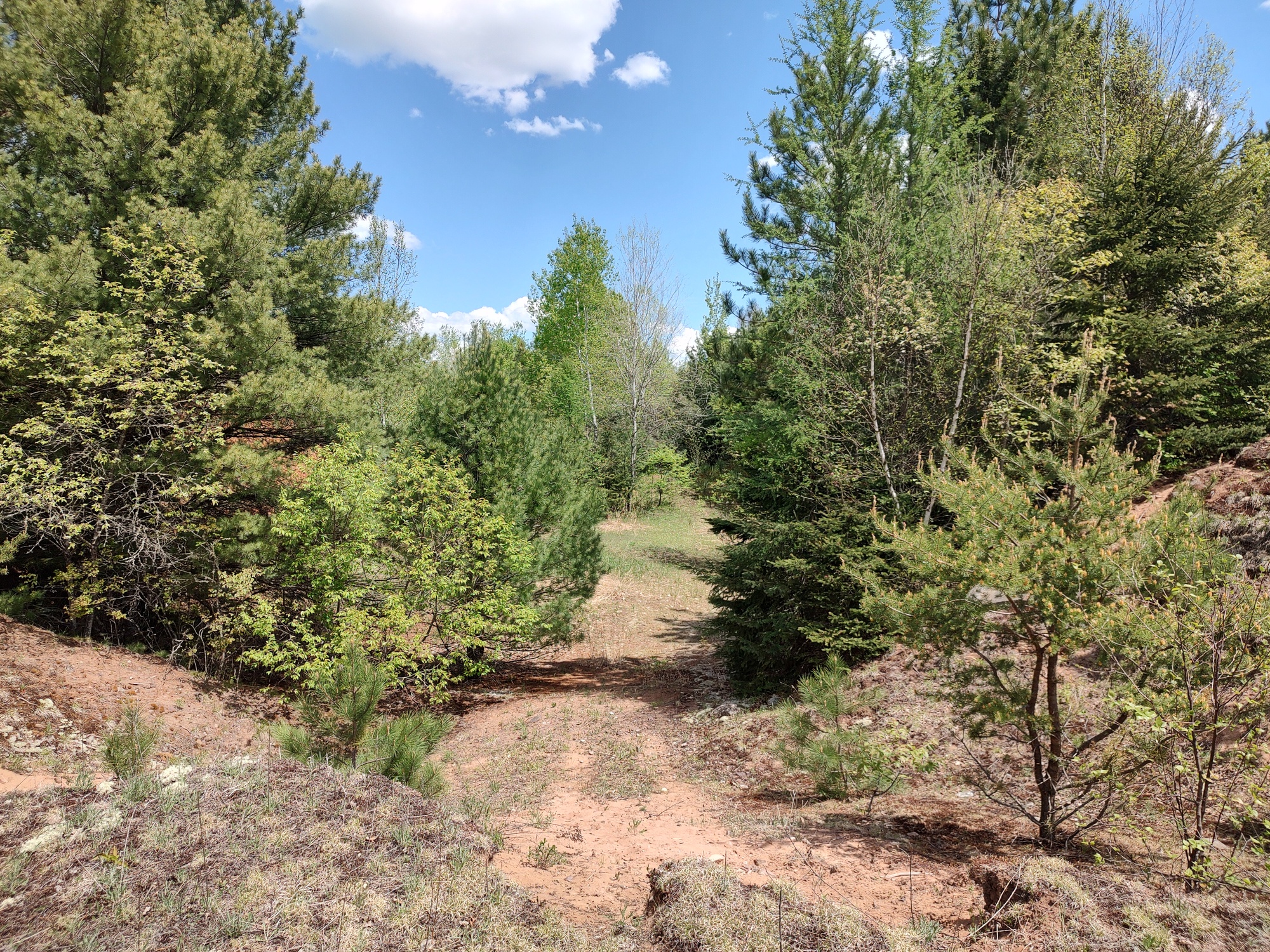 160 Acre Wilderness Retreat 50175391