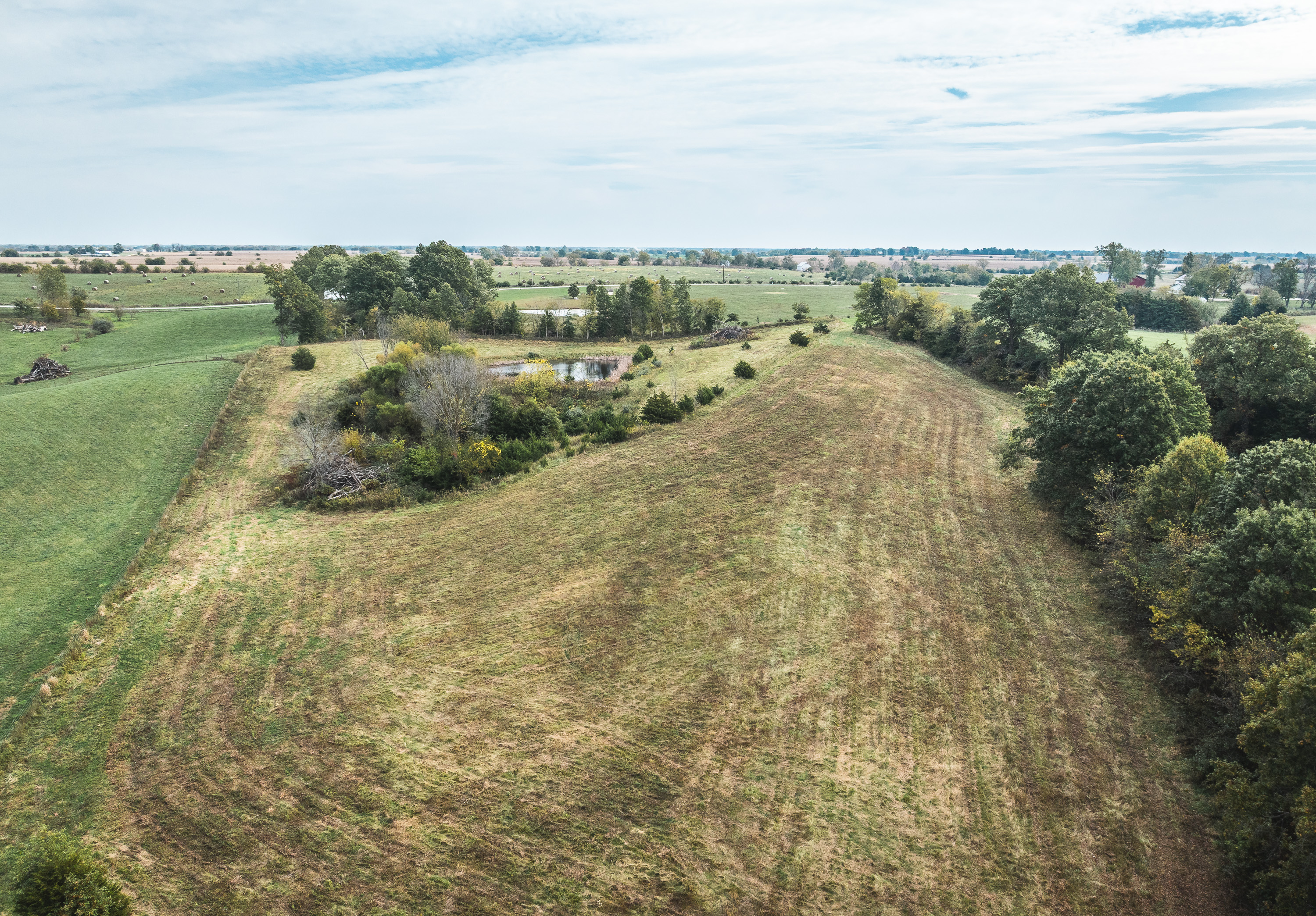 Listing Image 48