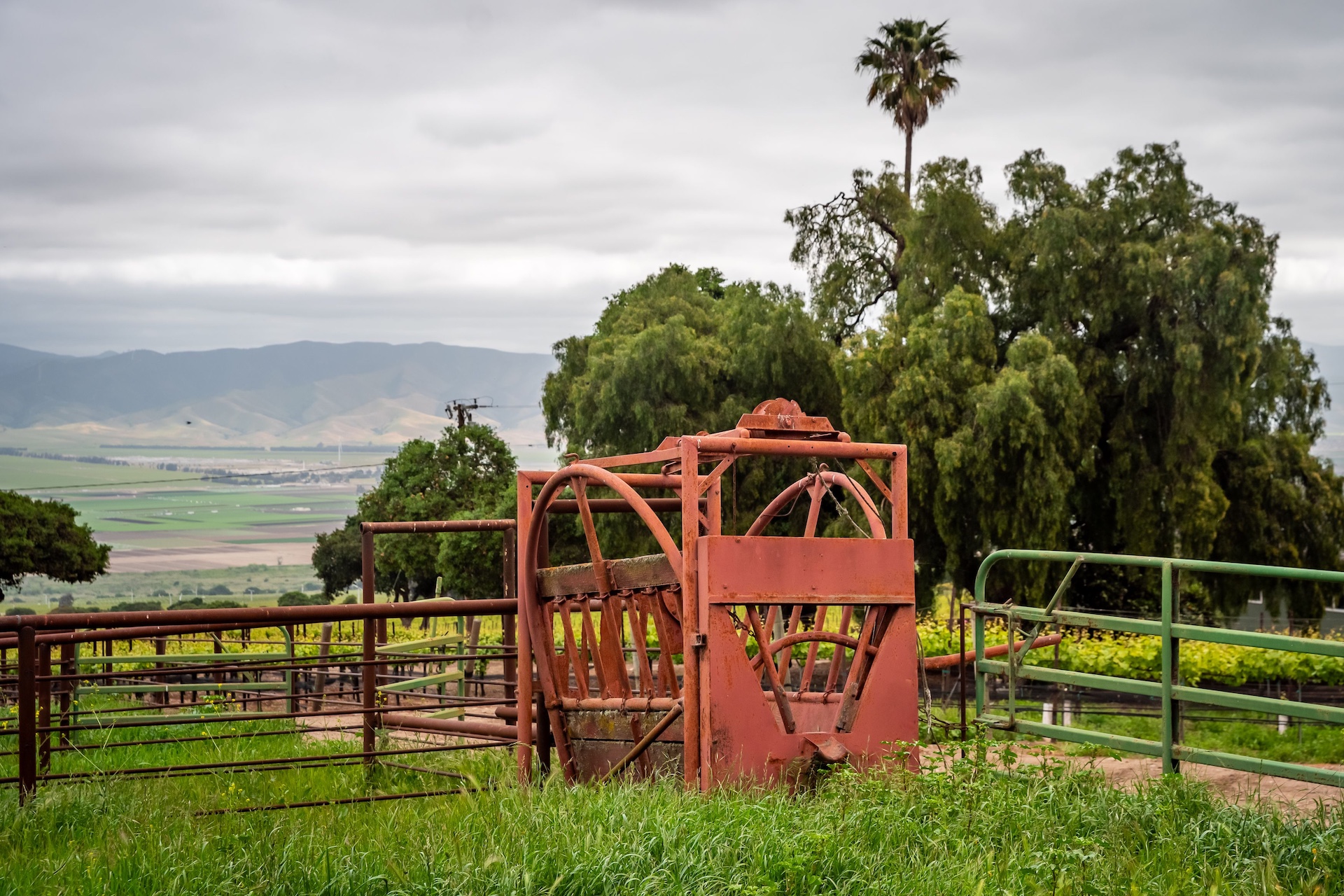 Boekenoogen Santa Lucia Highlands Vineyard