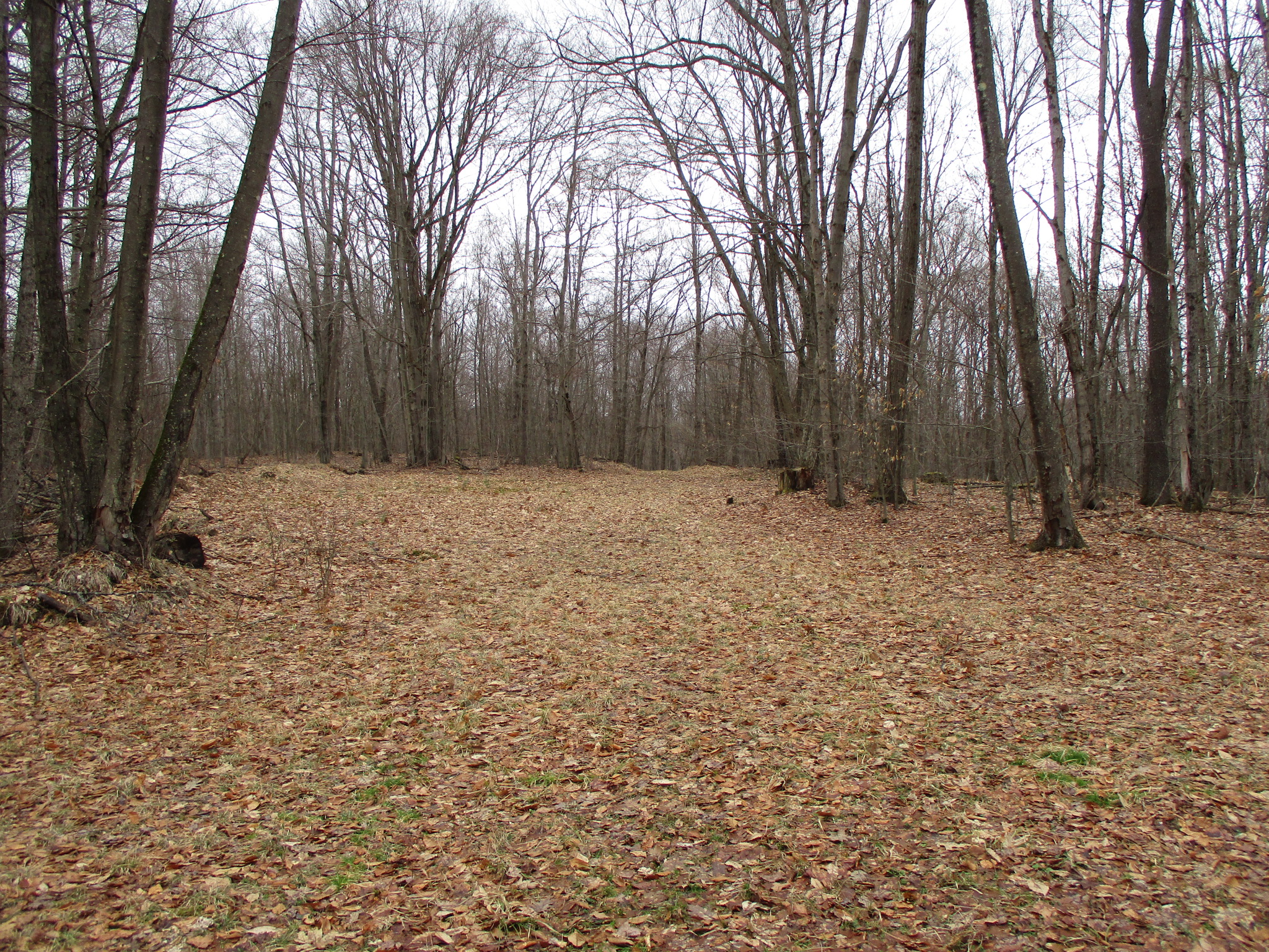Listing Image 37