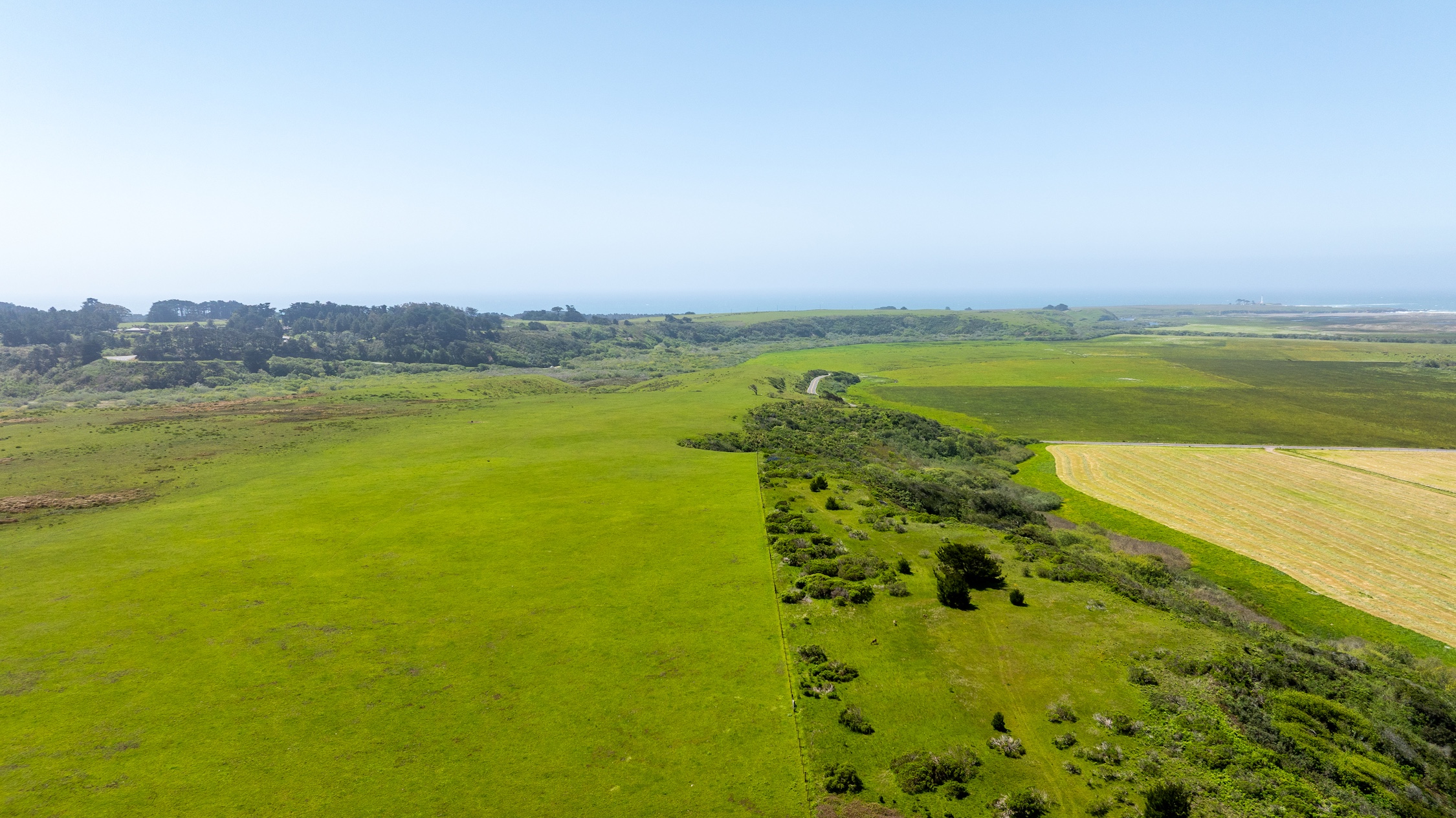 Listing Image 68